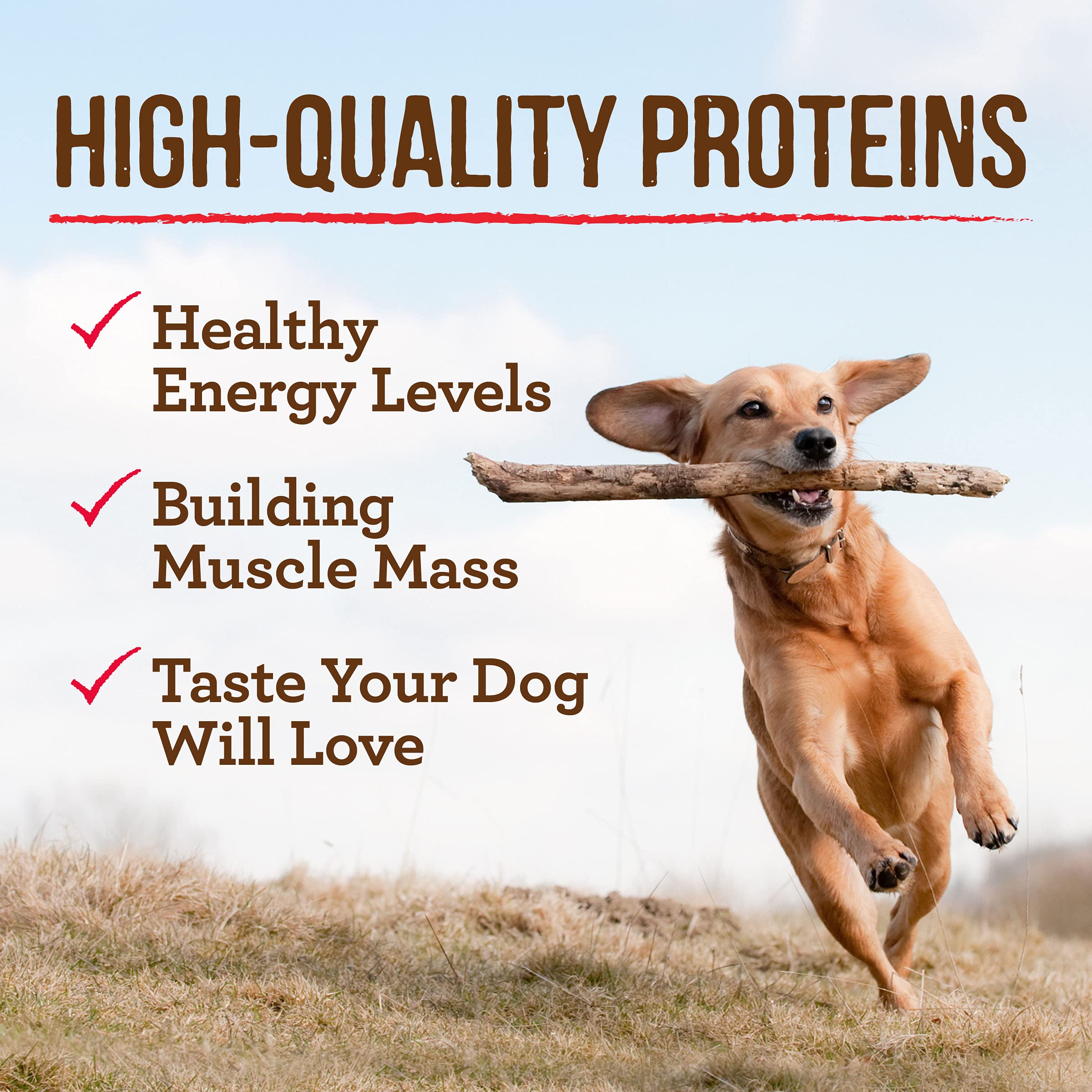 Merrick Grain Free Wet Dog Food, Premium And Wholesome Gluten Free Canned Adult Dog Food, Grammys Pot Pie - (Pack of 12) 12.7 oz