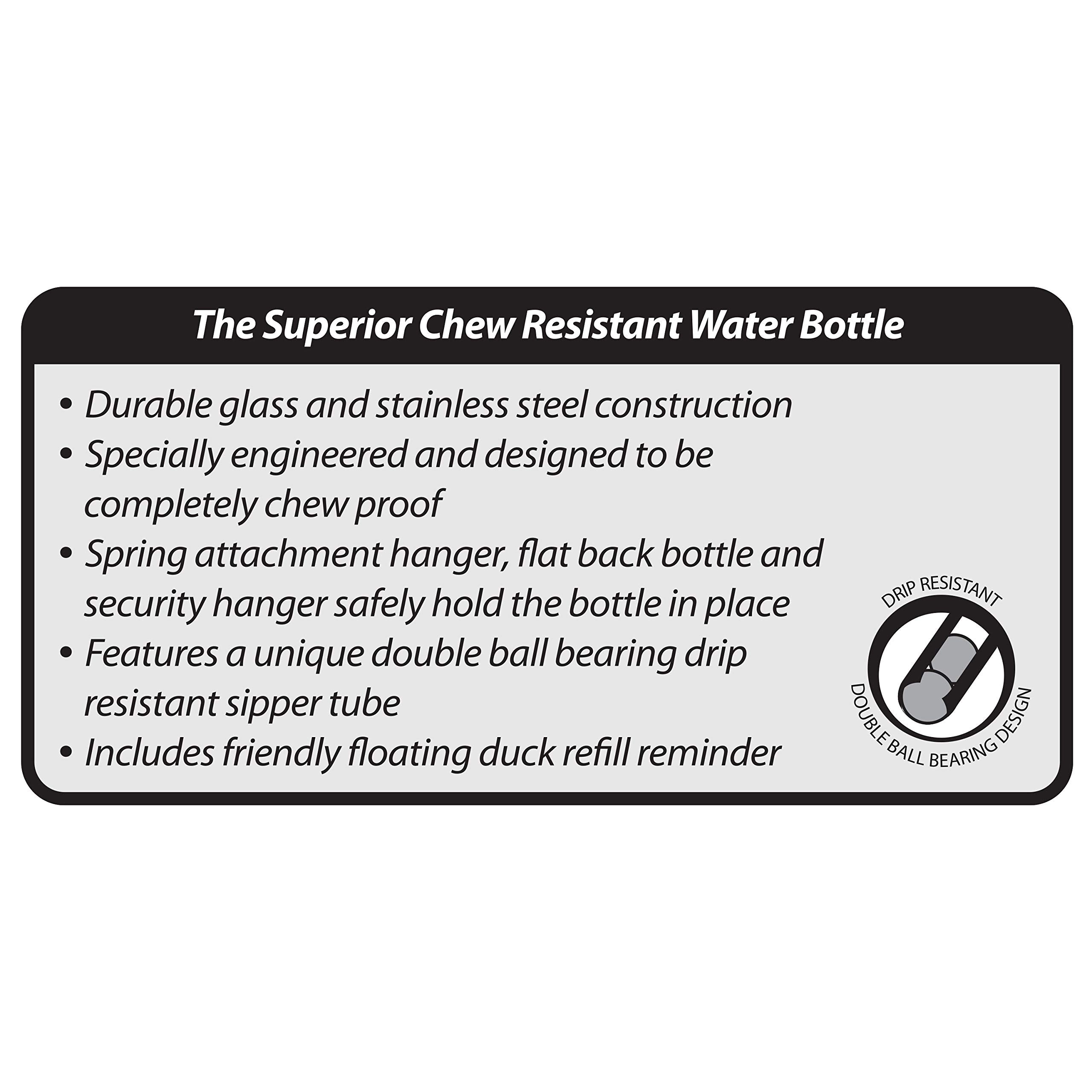 Kaytee Chew-Proof Water Bottle For Pet Ferrets And Rabbits, 26 Oz