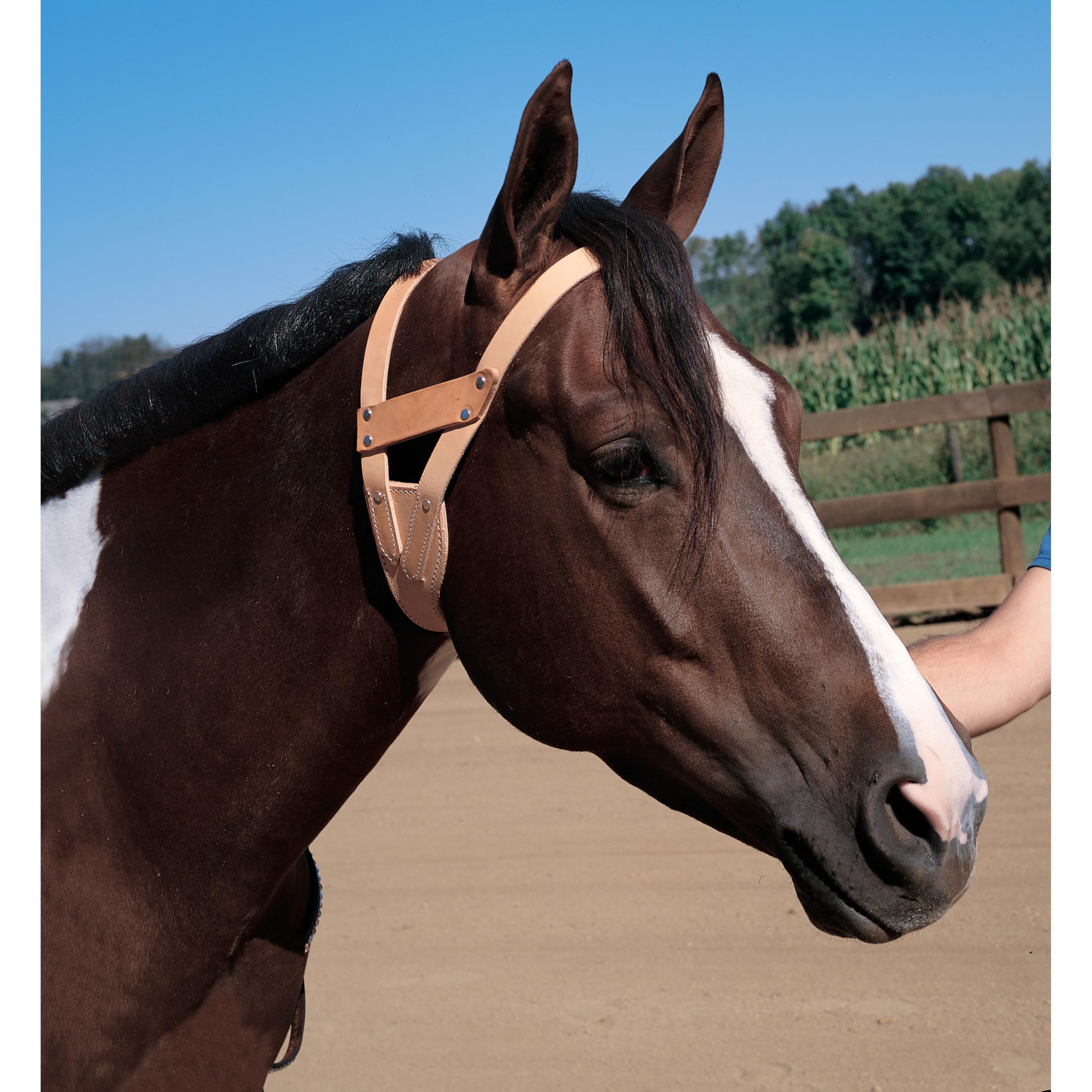 Weaver Leather Miracle Collar , Russet , Medium