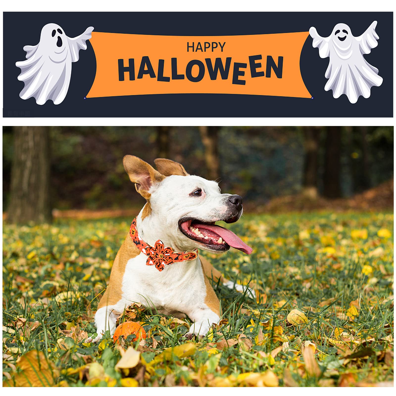 Unique Style Paws Halloween Dog Collar With Flower Tie Cotton Adjustable Puppy Collar For Small Medium Large Dogs-L