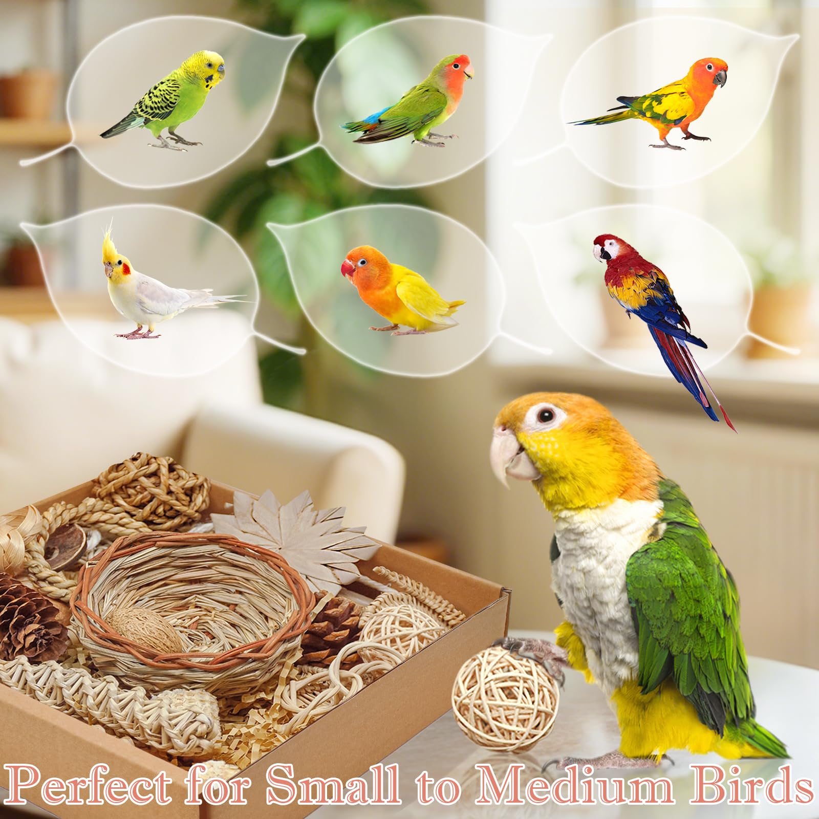 HOSUKU Natural Bird Foraging & Shredding Toys Box - Handmade Rattan Chewing Toys for Parakeets, Cockatiels, Conures, Lovebirds &