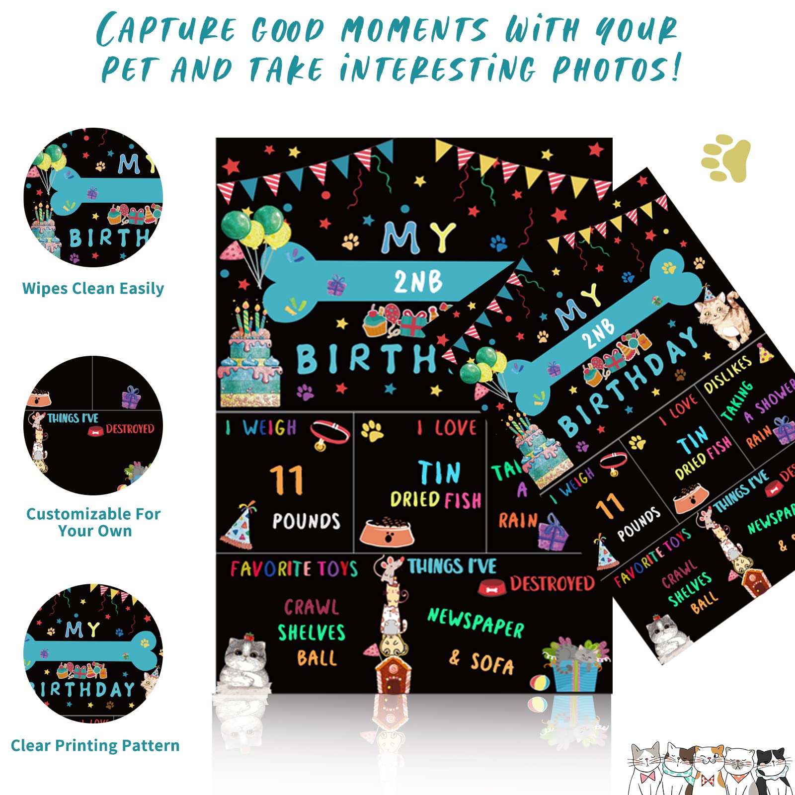 duludulu Cat Kitten Birthday Party Supplies - Gold Bandanas, Hats, Banners & Balloons for Boys - Meow Foil Decorations