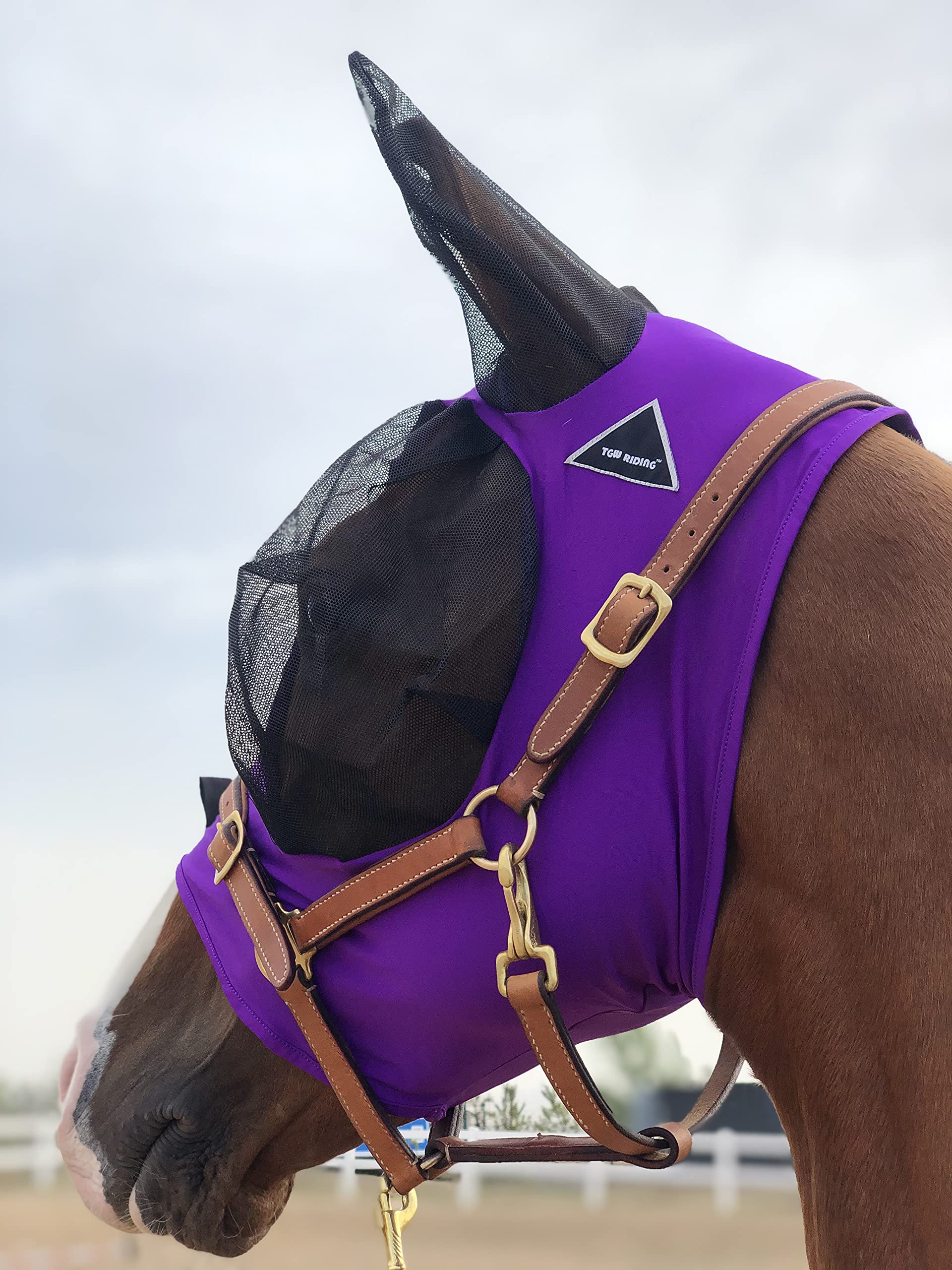 Horse Fly Mask Super Comfort Horse Fly Mask Elasticity Fly Mask with Ears We Only Make Products That Horses Like (Dk Purple, M)