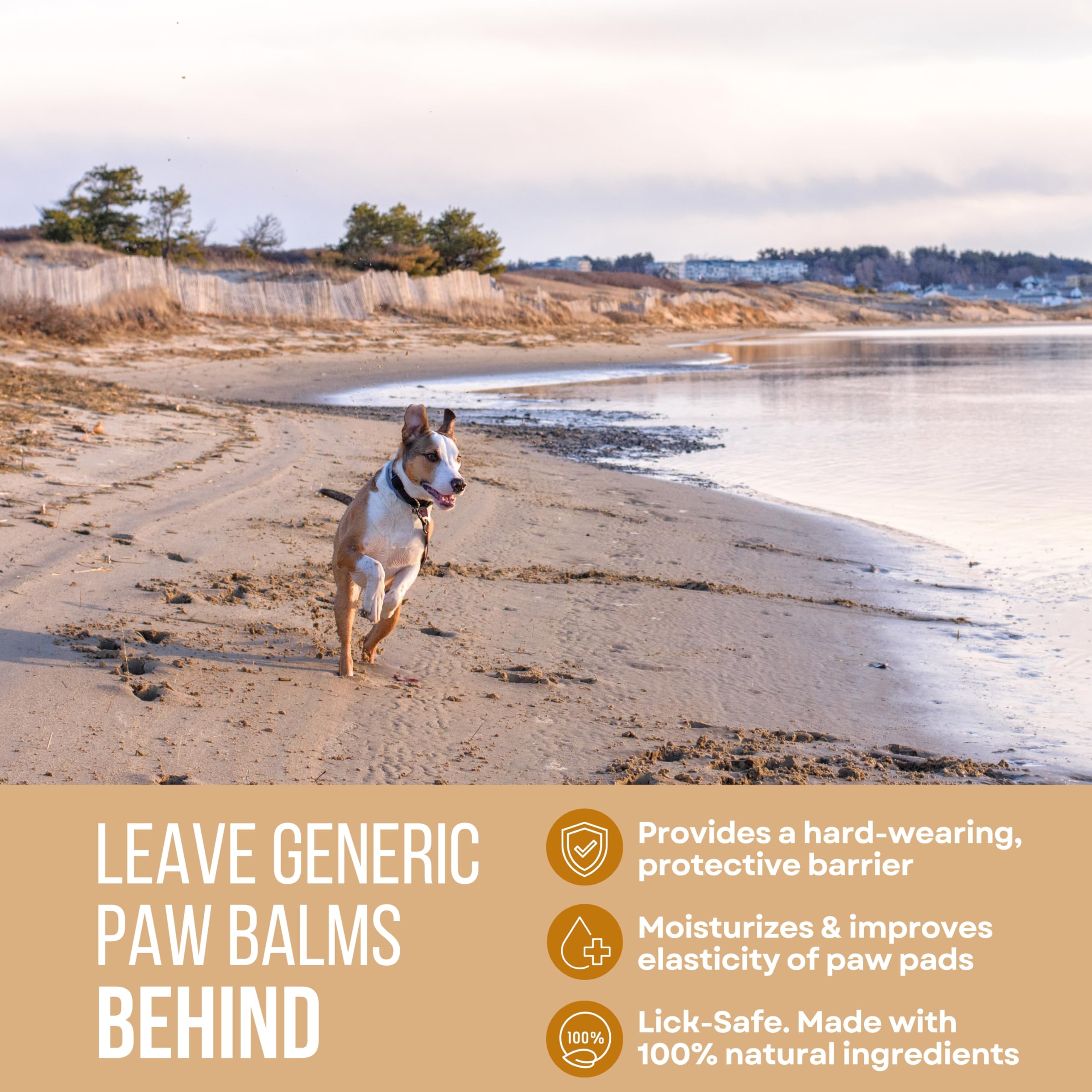 Rhino Wax - Dog Paw Beach Wax 2Oz - Protects Against Sharp Rocks, Hot Sand, Glass, Coral, Or Other Hazards At Beaches - Moisturi