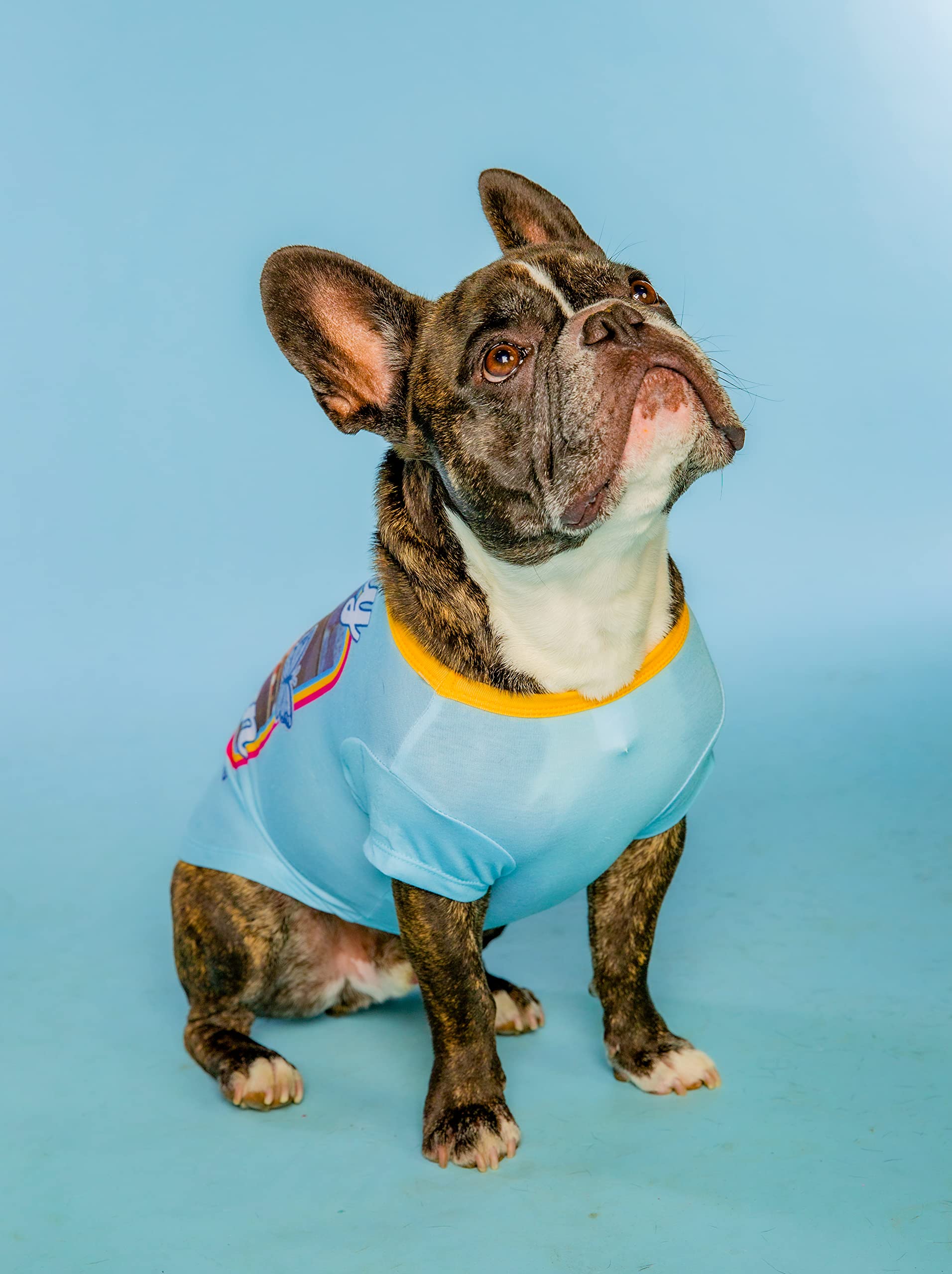 Doggy Parton Blue Dolly & The Mighty Fine Band Shirt For Pets - M (22120727)