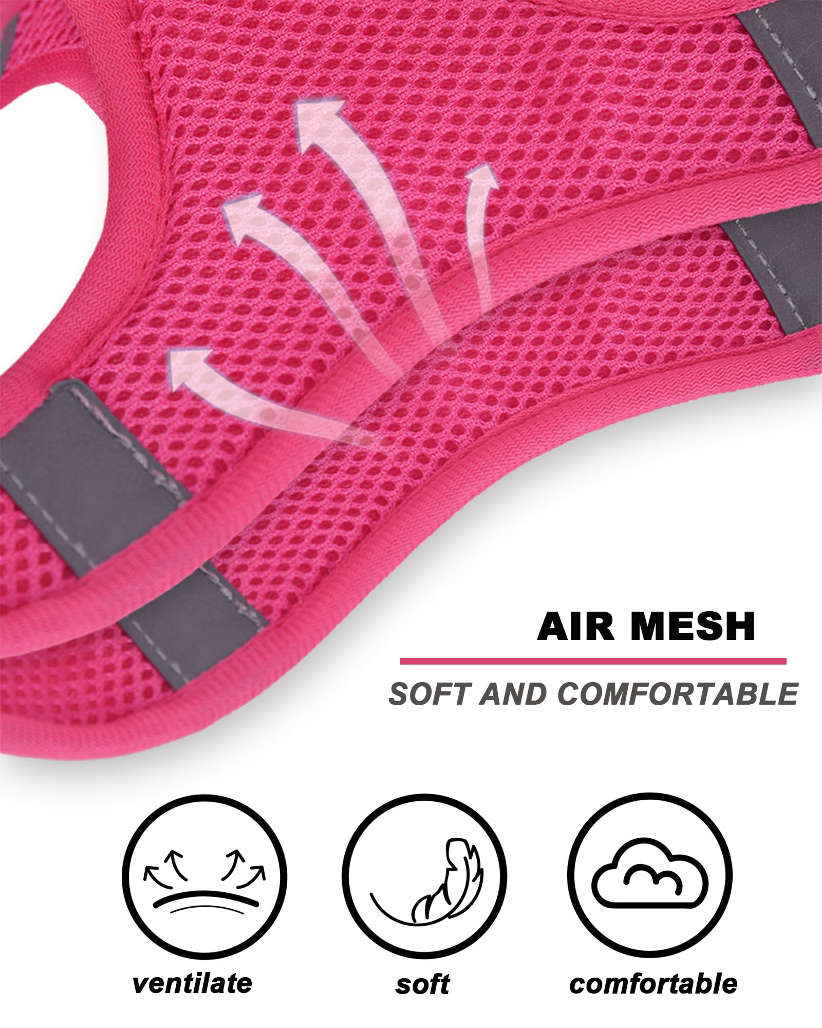 JUFOO XS ROSEO Flower Pattern Dog Harness and Leash Set,No Escape Easy Walk Puppy Harnesses for Training Walking,Breathable Adju