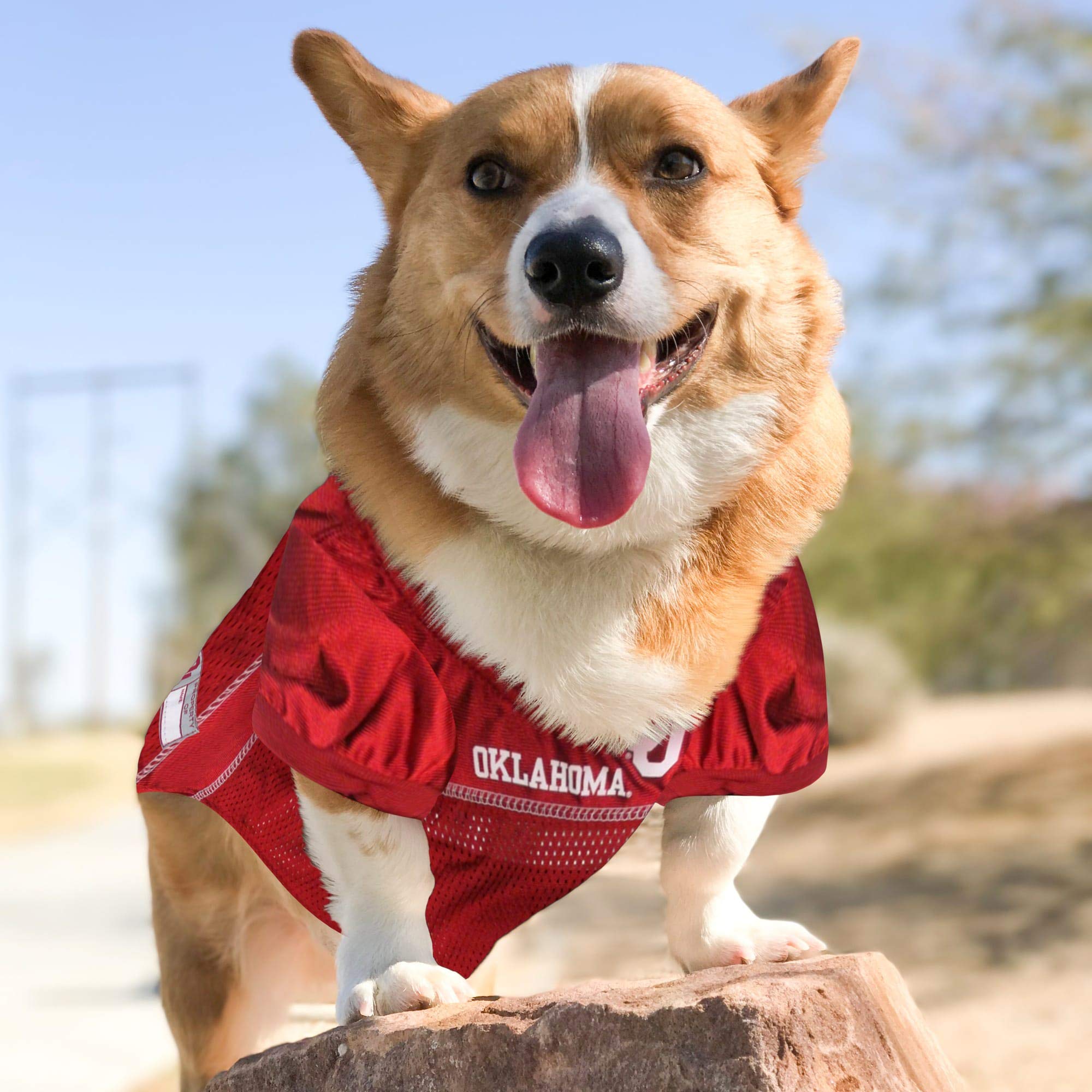 Pets First NCAA College Oklahoma Sooners Mesh Jersey for DOGS & CATS, XX-Large. Licensed Dog Jersey with your Favorite Football/