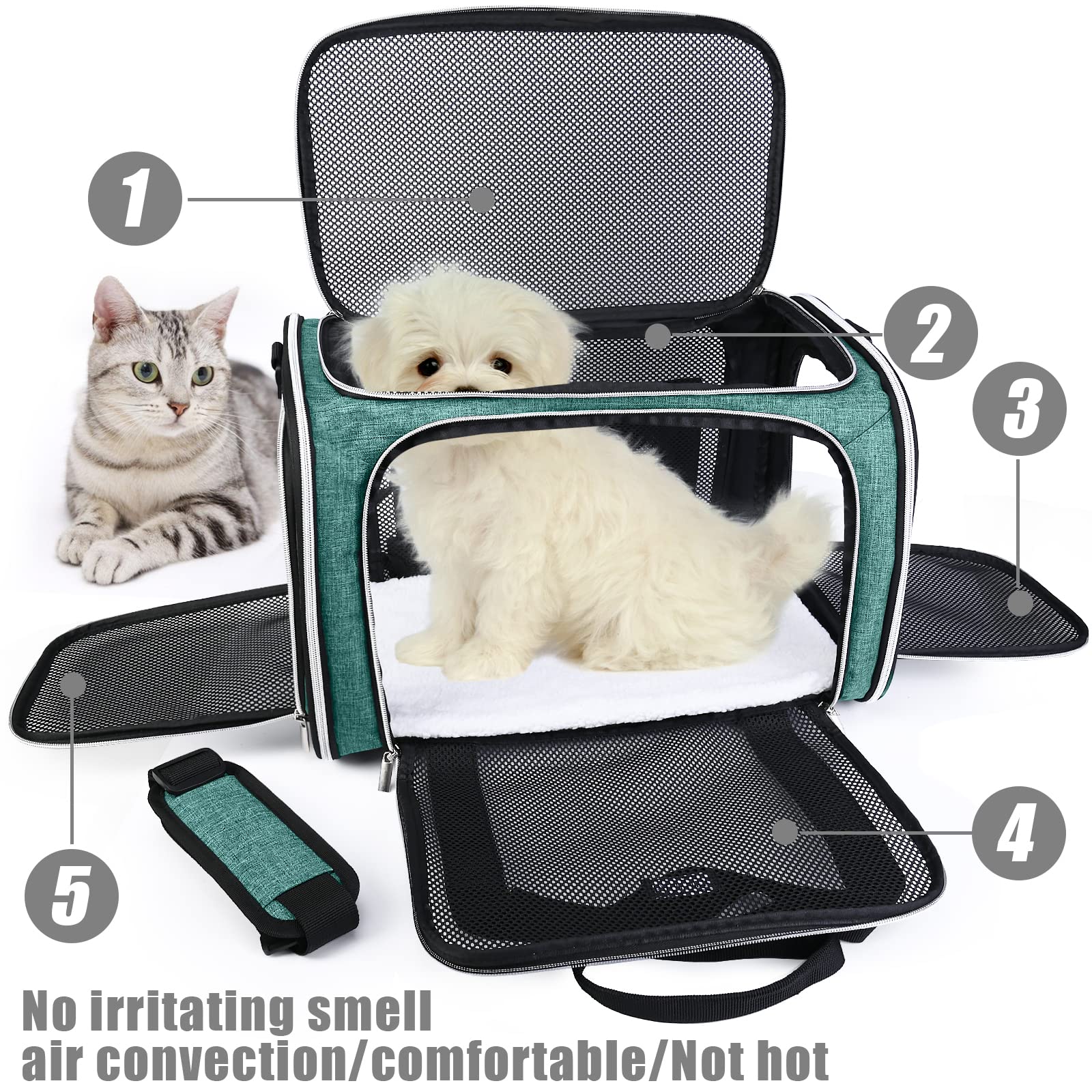 Baglher Pet Travel Carrier, Cat Carriers Dog Carrier For Small Medium Cats Dogs Puppies, Airline Approved Small Dog Carrier Soft Sided, Collapsible Puppy Carrier. Green
