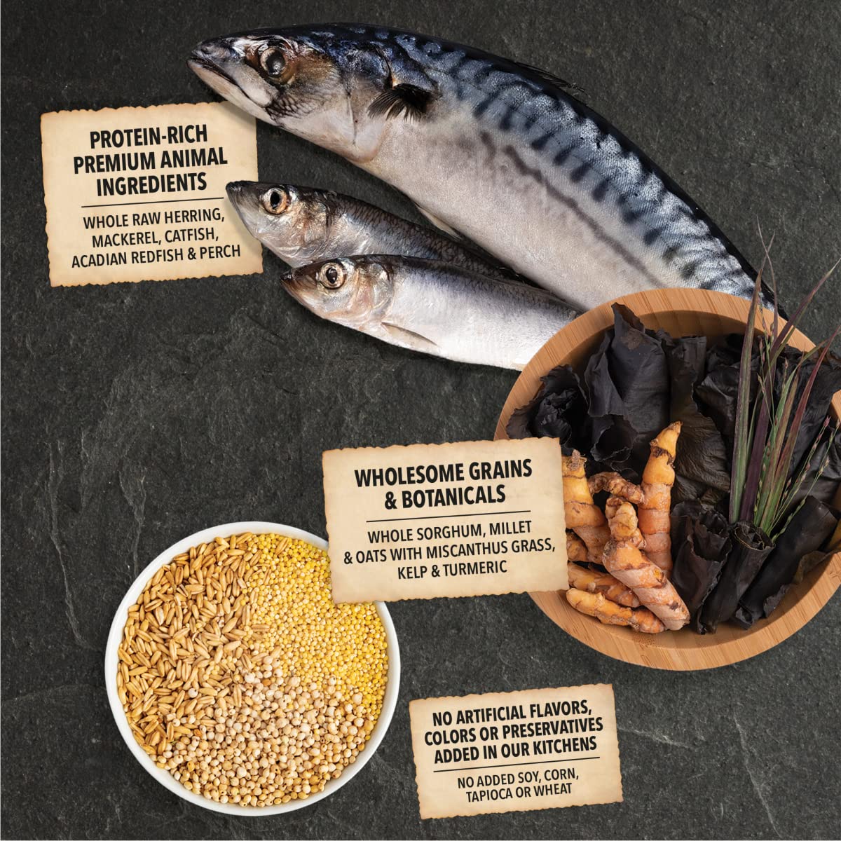 ACANA Wholesome Grains Dry Dog Food, Sea to Stream, Saltwater and Freshwater Fish & Grains Recipe, 4lb