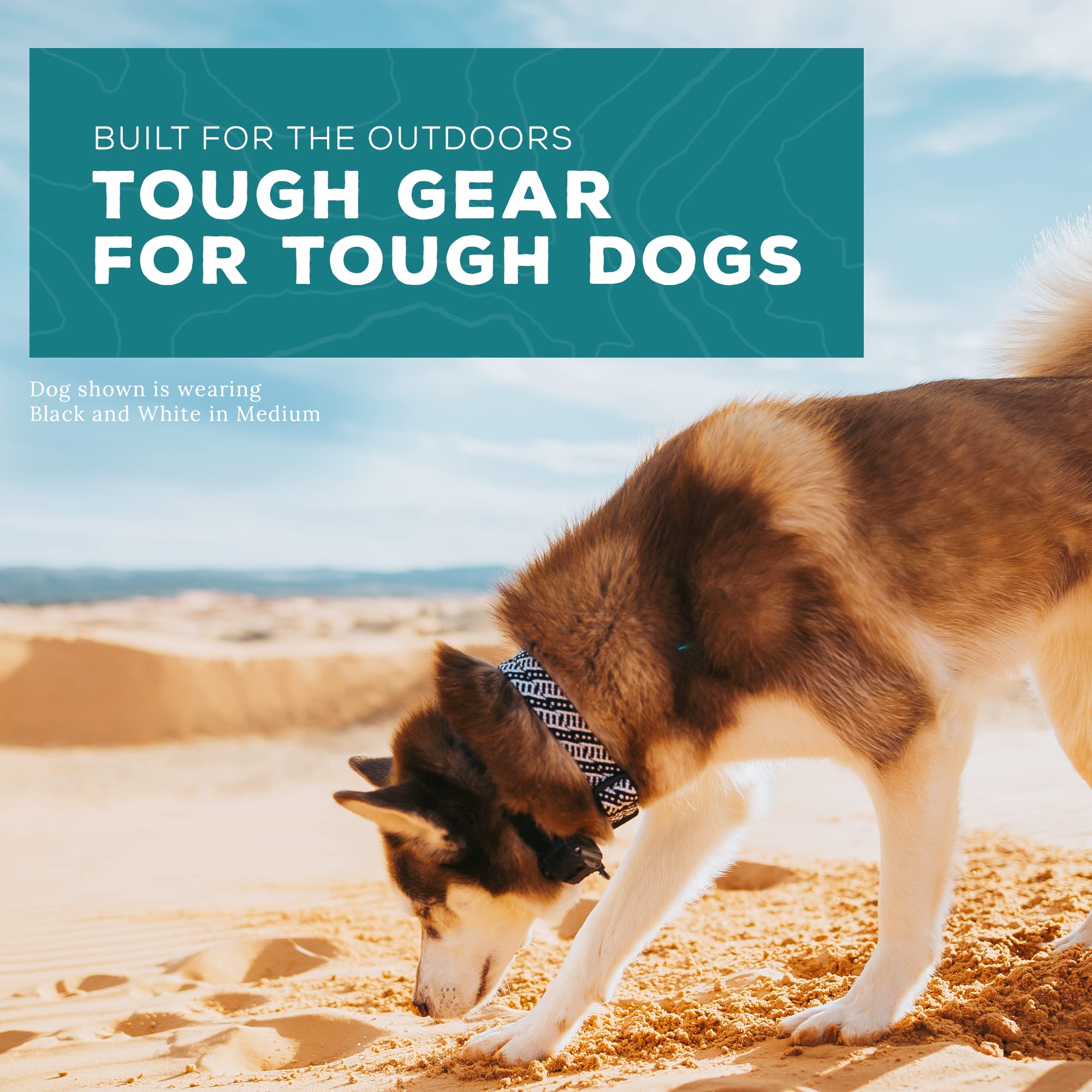 Wilderdog Climbing Rope Dog Collar Black/White Sm