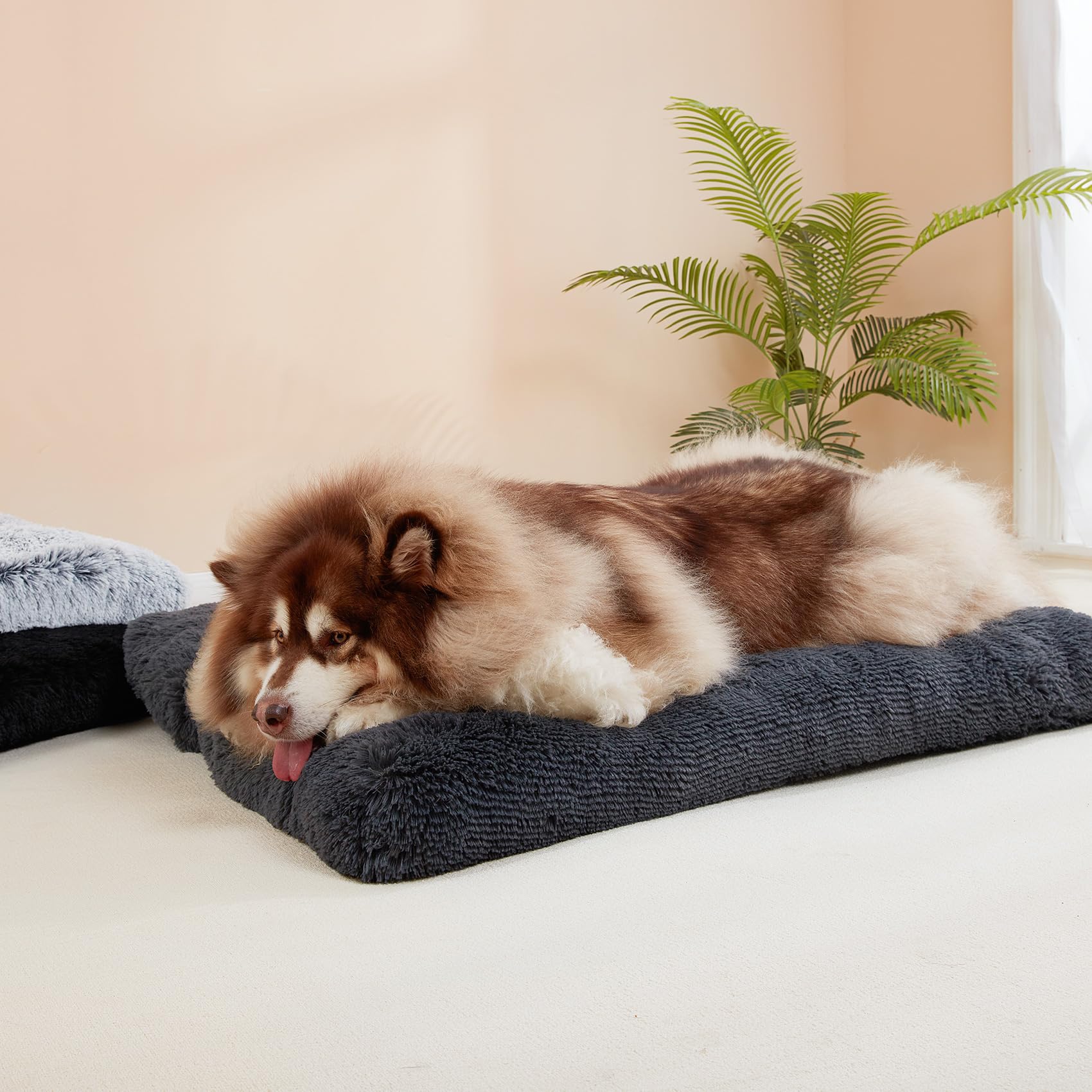 Eheyciga Fluffy Xxl Dog Crate Pad, Plush Faux Fur Dog Bed For Extra Large Dogs, Calming Anti Anxiety Xxl Dog Bed For Crate, Washable Soft Warm Dog Crate Mat With Non-Slip Bottom, Dark Grey