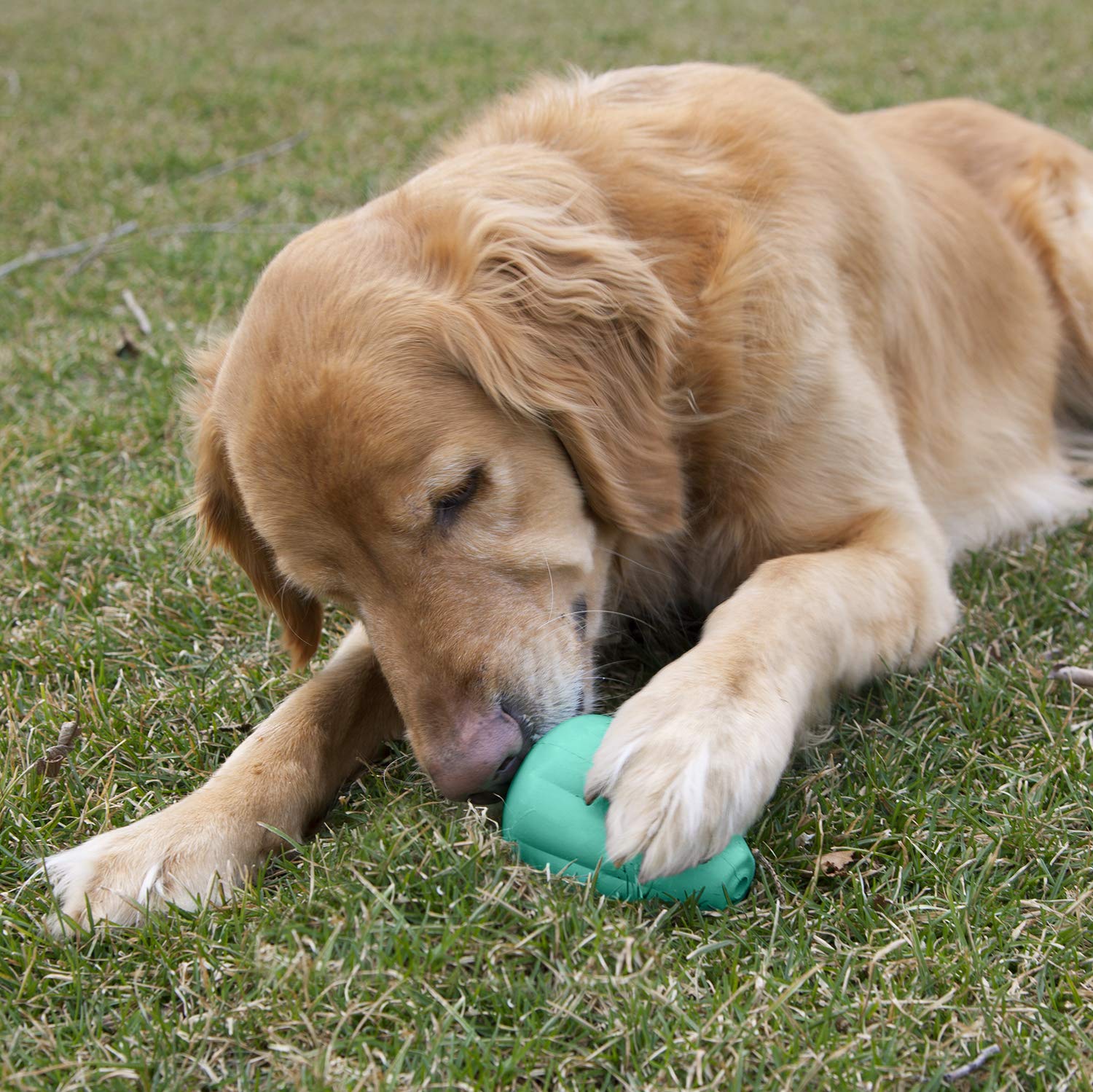 Chew King Premium Treat Dog Toy, Xl, Extremely Durable Natural Rubber Toy