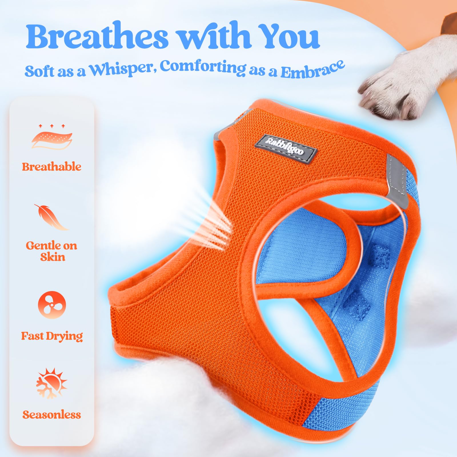 rabbitgoo Dog Harness Small Sized and Leash Set, Step in Soft Light Puppy Vest, Breathable Mesh Pet Harness, Reflective for Safe