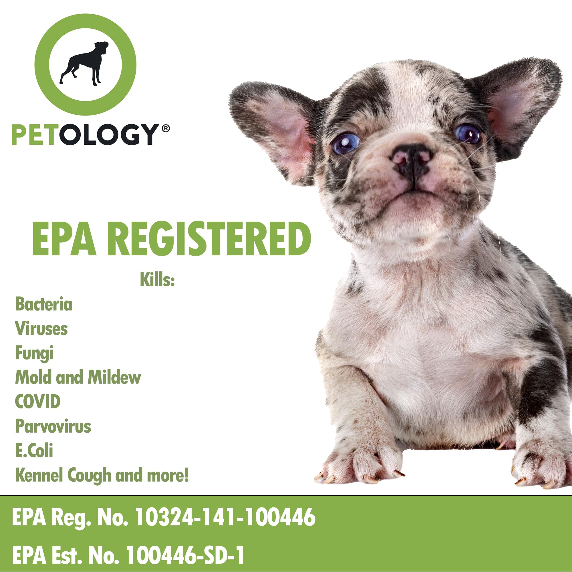Petology 256:1 Disinfectant, 1 Gallon - Liquid Concentrate Disinfectant and Deodorizer, Sanitizer for Veterinary Clinics and Ken