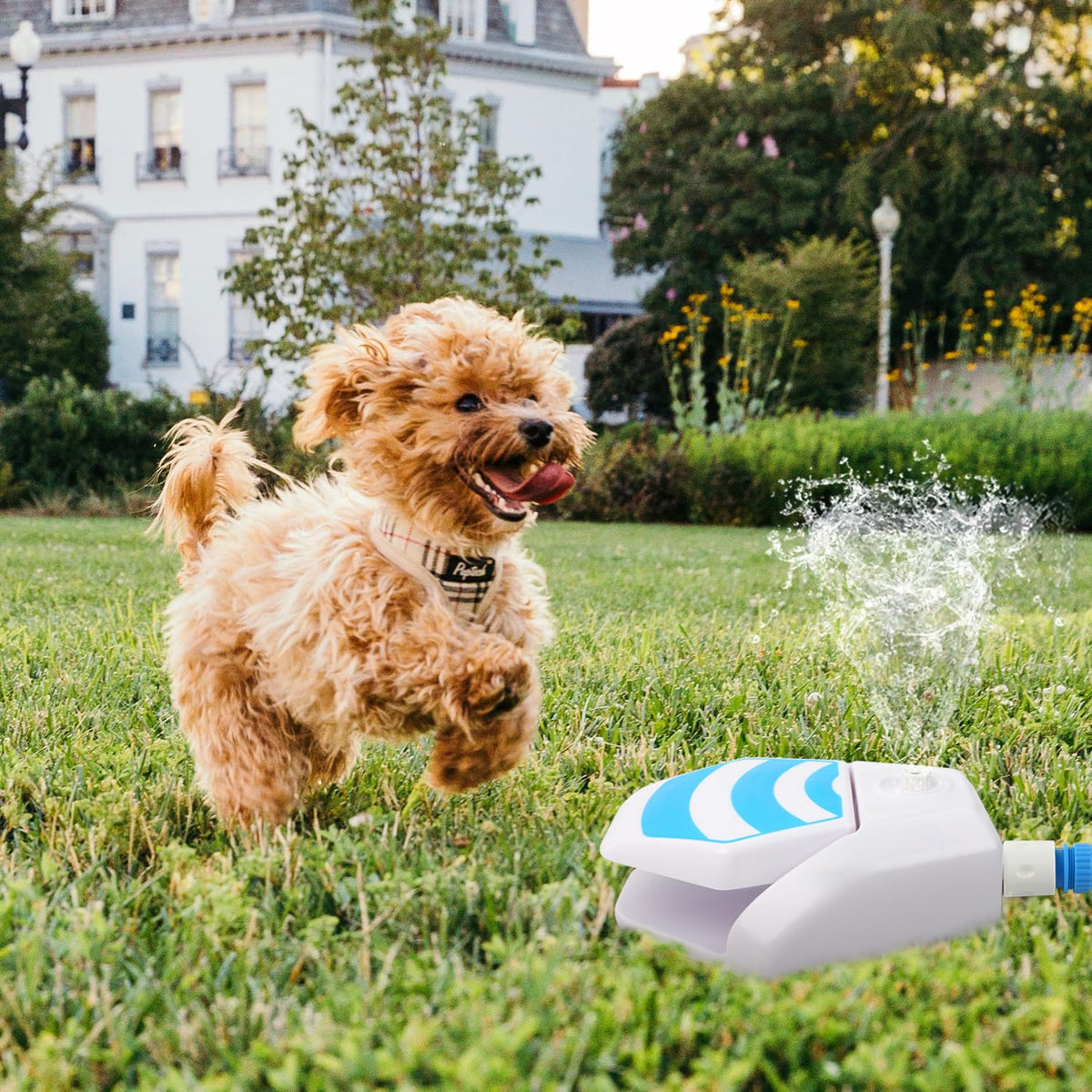 All For Paws Dog Water Fountain, Dog Sprinkler Paw Activated, Outdoor Water Fountain For Dog Drinking, Step On Pet Water Dispens