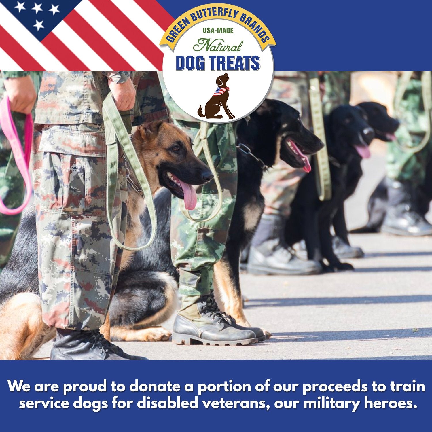 Green Butterfly Brands Premium Dog Treats Made in USA Only Natural, Meaty Beef Tips Slow Roasted, Crunchy American Beef Farm Rai