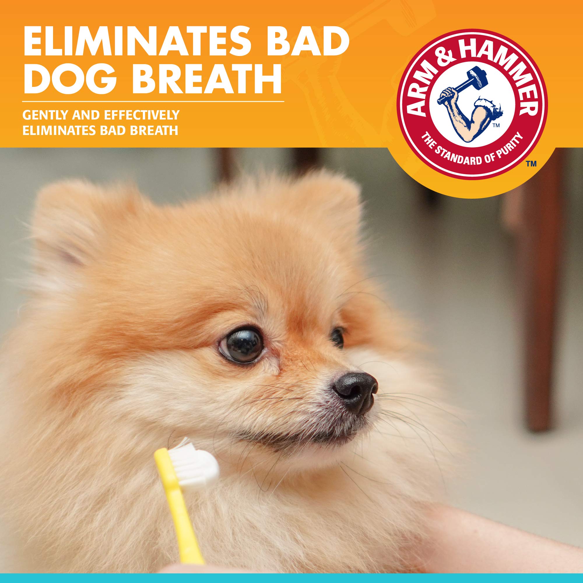 Arm & Hammer Dental Enzymatic Toothpaste for Dogs, 2.5 oz, 72 Pack - Soothes Gums, Fresh Breath Vanilla Ginger, Safe for Puppies