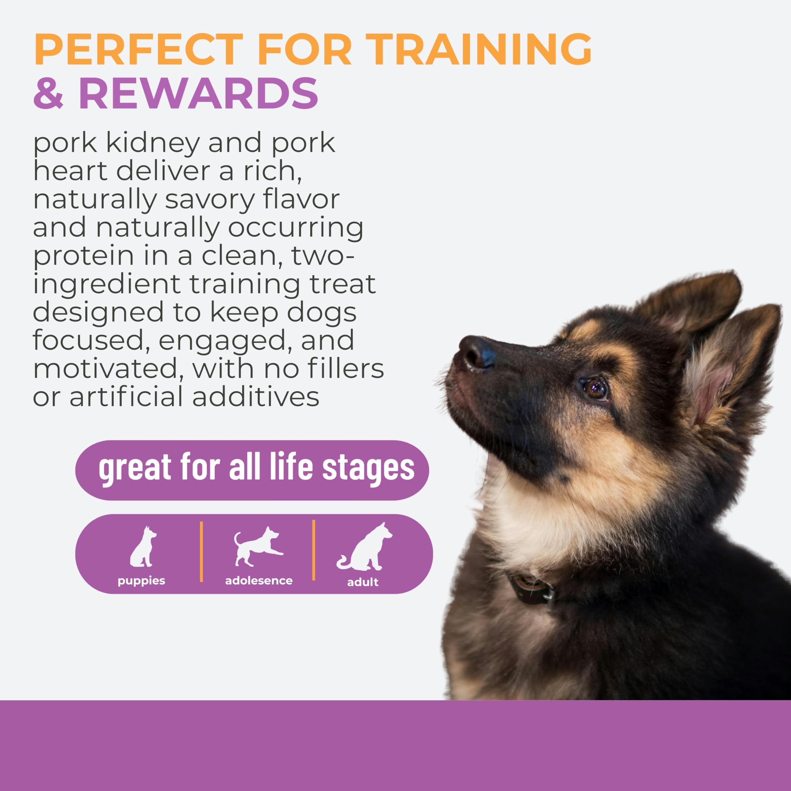 Momentum Carnivore Nutrition Freeze-Dried Pork Training Bites - Two Ingredients-Pork Kidney and Heart, Grain-Free, All-Natural D
