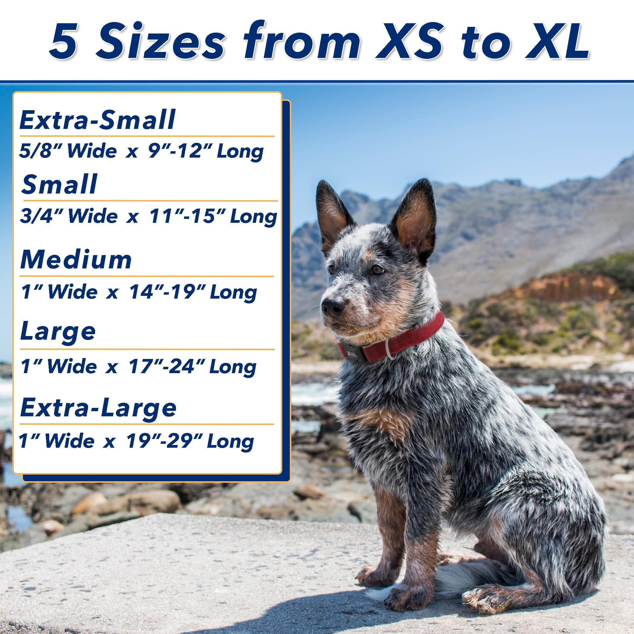 Fuzzy Friends Red Hemp Collar. Hypoallergenic Collar Great For Sensitive Skin Or Allergies. 5 Sizes: X-Small, Small, Medium, Lar