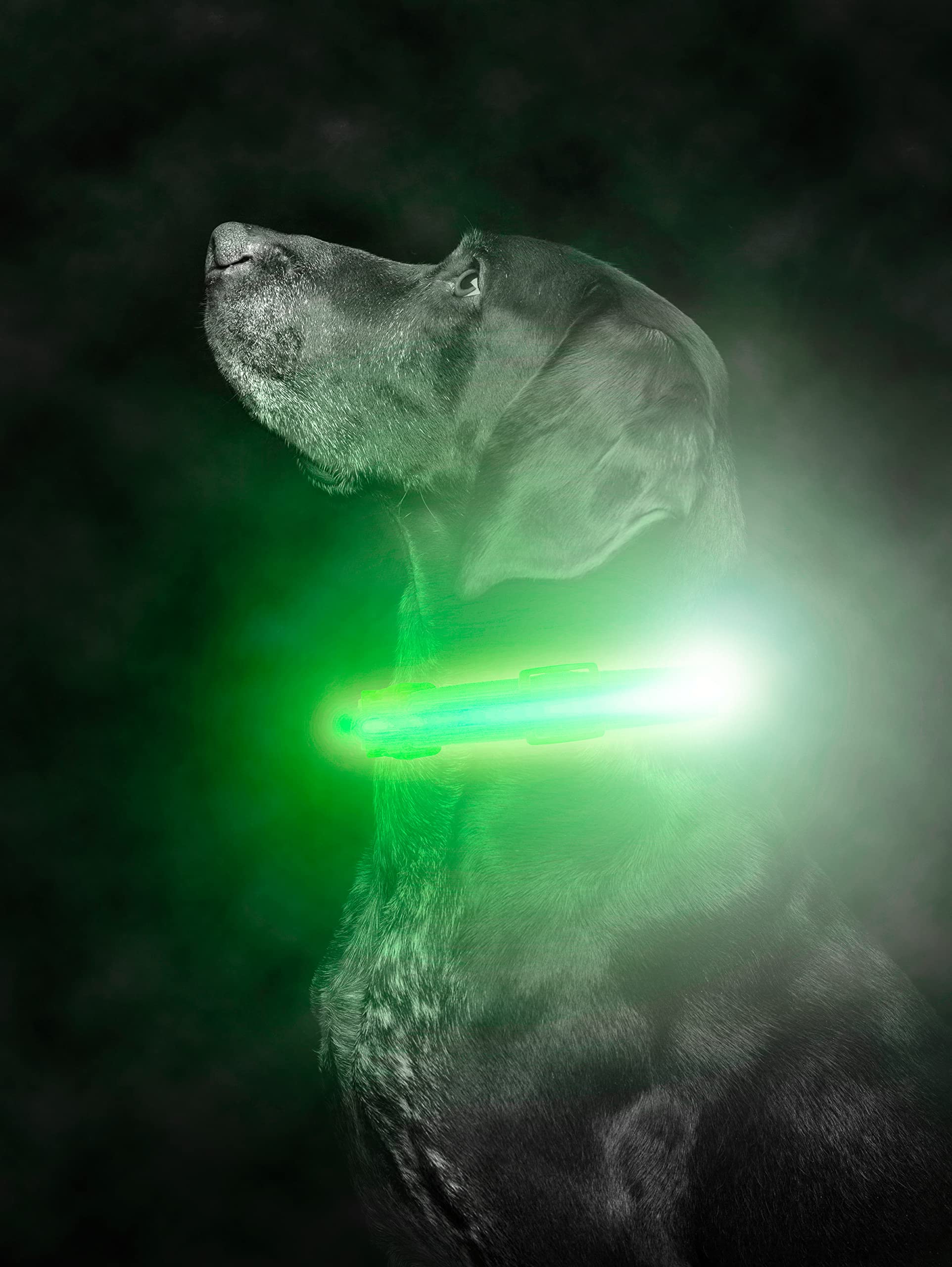 Mighty Paw Led Dog Collar - Usb Led Rechargeable - Usb Rechargeable Light - High Visibility Glow Strips - Glow Pet Weather Resis