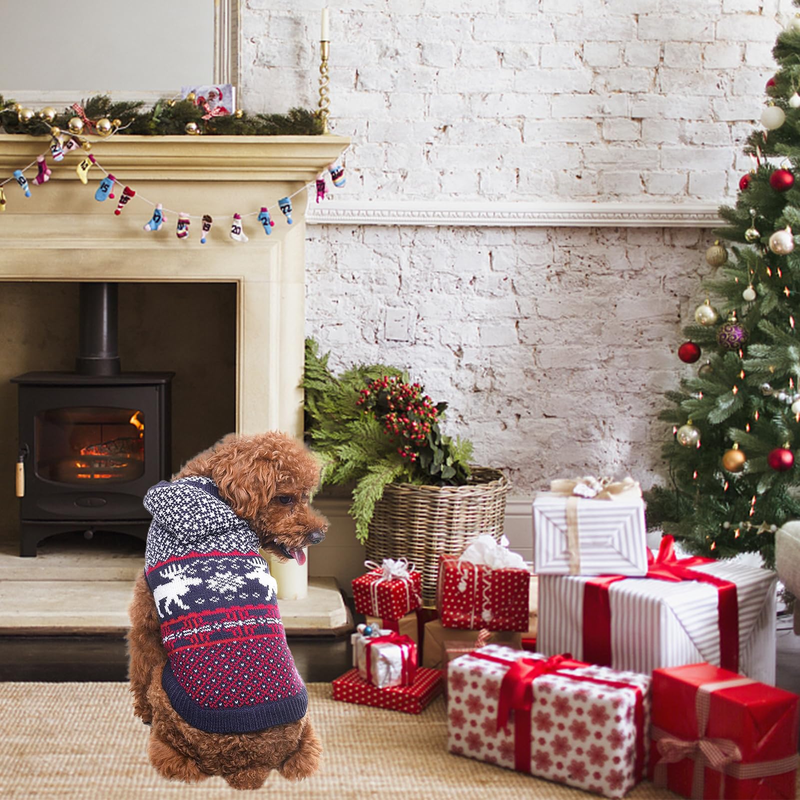 Scenereal Dog Sweater With Hat, Turtleneck Pullover Winter Pet Sweatshirt Knitwear S-Xl, Christmas Dachshund,Sweater For Small D