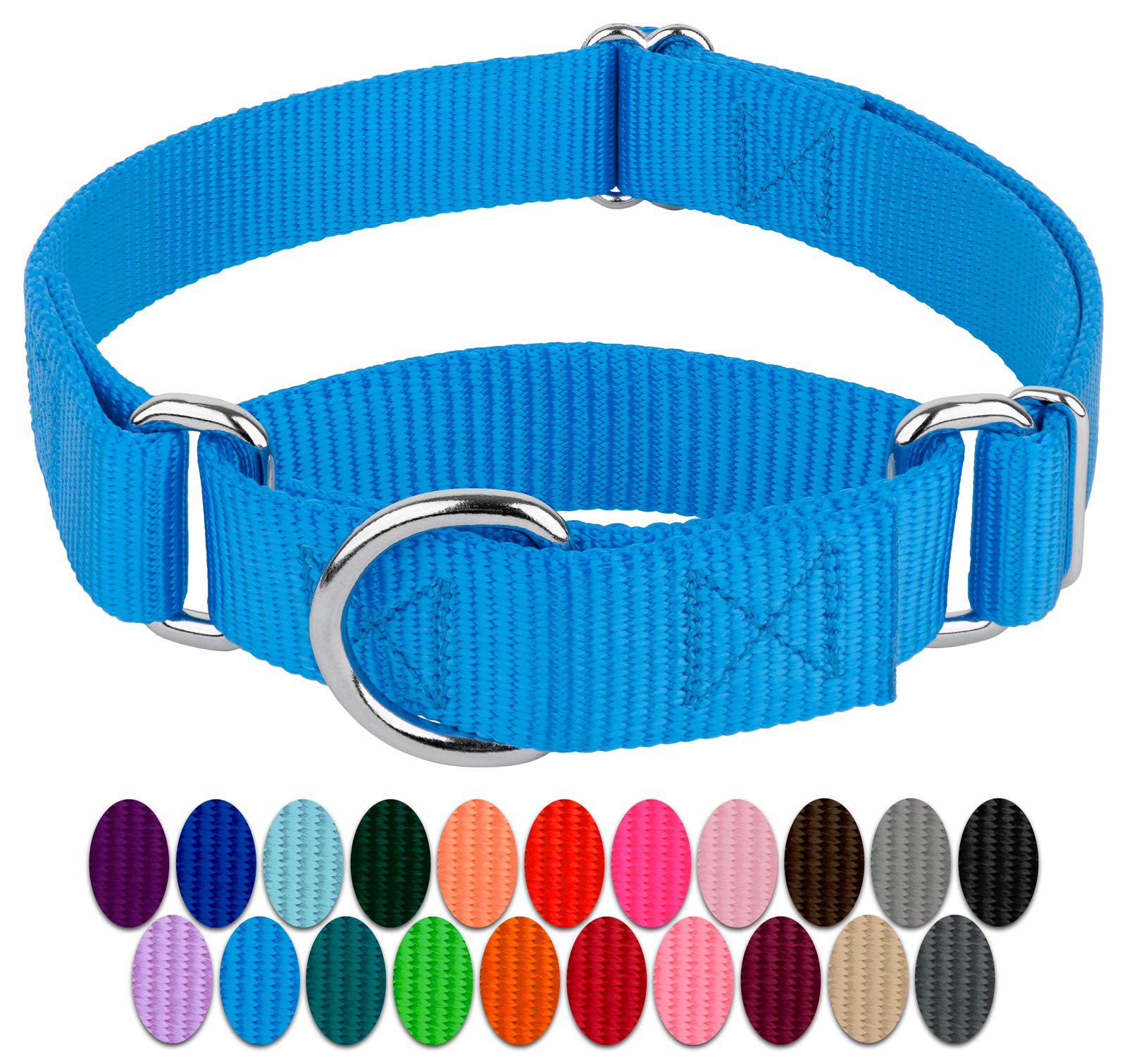 Country Brook Petz Martingale Dog Collar - Heavy-Duty Training Collar With No Buckle - Service Dog Collar For All Pups - Vibrant, Colorful Collection (Ice Blue, 1 Inch, Medium)