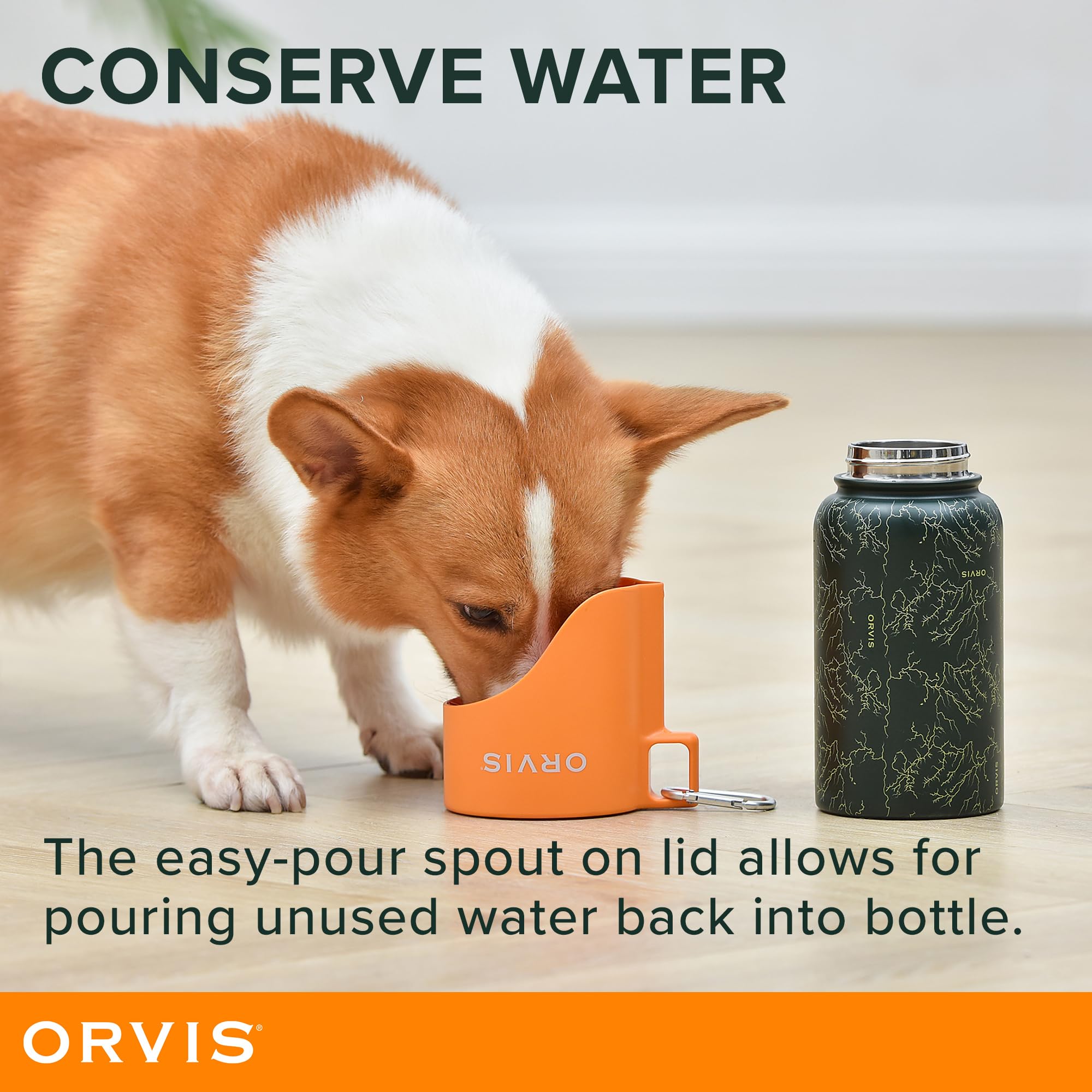Orvis Dog Travel Water Bottle, 25Oz Capacity | Portable Pet Waterer With Built-In Bowl | Stainless Steel, High Visibility Orange