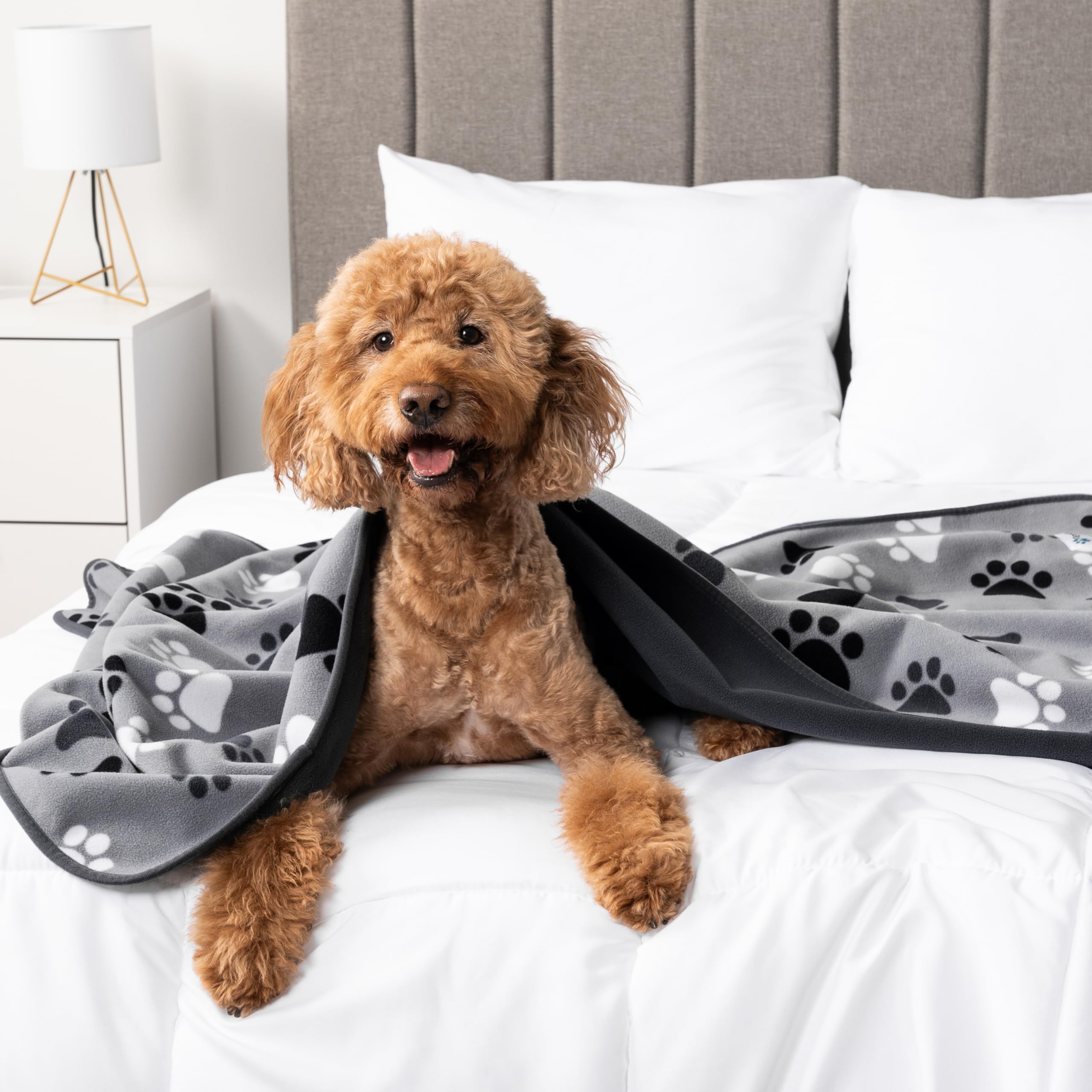 Petami Waterproof Dog Blanket For Medium Large Pets Dogs Cats, Pet Couch Cover Protector For Furniture, Reversible Washable Soft Fleece Cat Blanket For Bed Couch Sofa, 40X60 (Paw Print Gray)