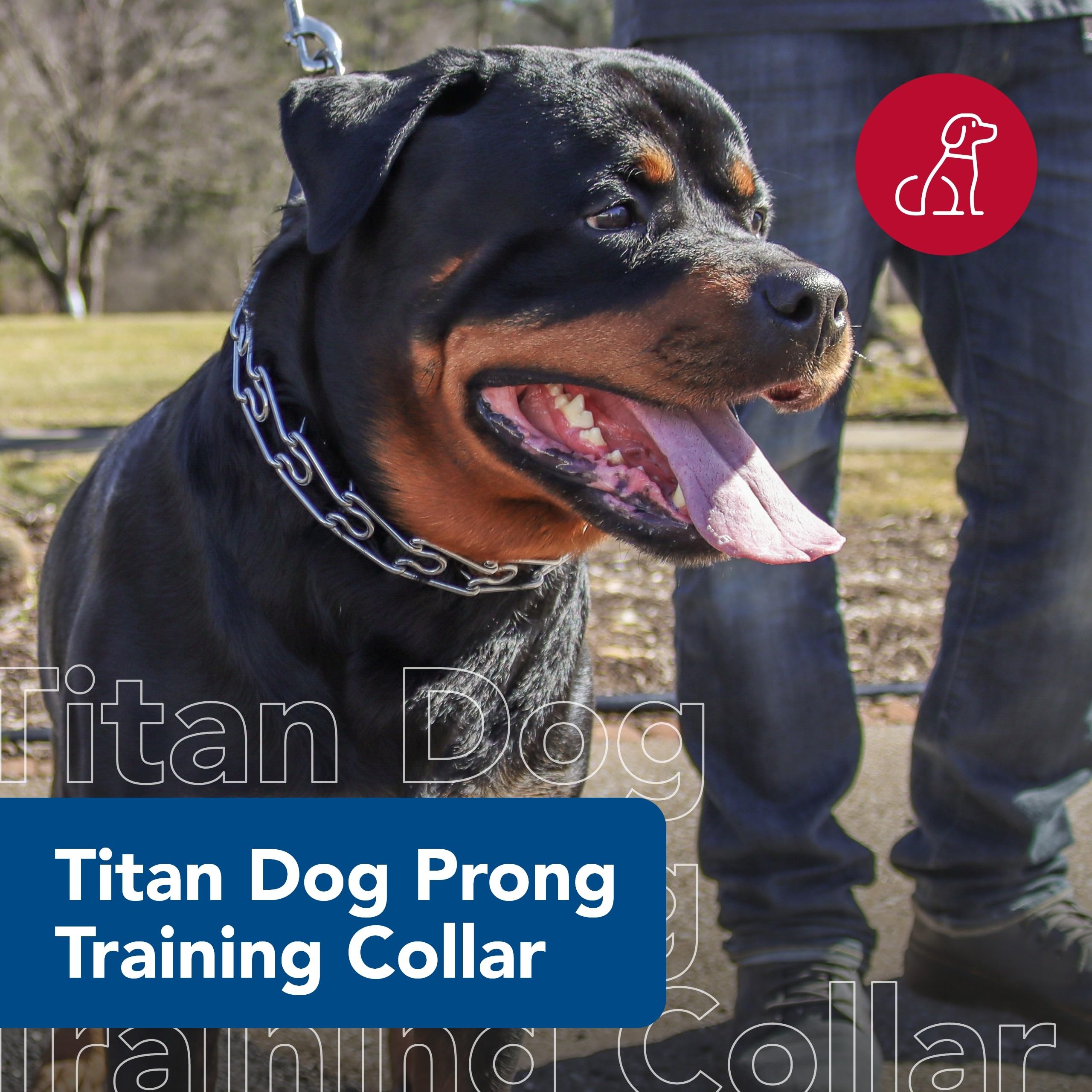 Coastal Pet Titan Dog Prong Training Collar - Rust-Resistant And Prong Metal Training Chain Collar For Dogs - Quality Supplies - 2 Mm X 14'