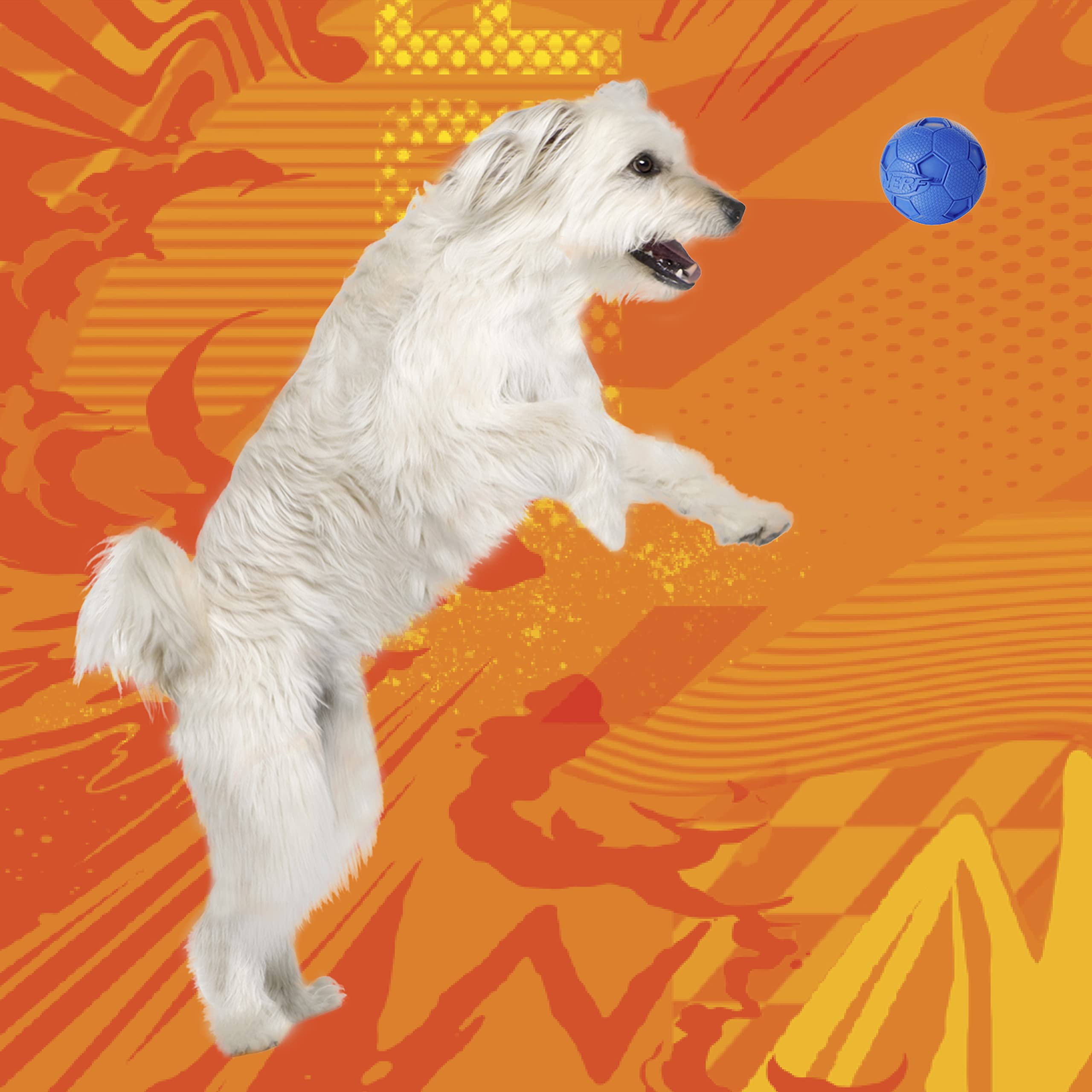 Nerf Dog Soccer Ball Dog Toy With Interactive Squeaker, Lightweight, Durable And Water Resistant, 2.5 Inches, For Medium/Large Breeds, Two Pack, Blue And Red