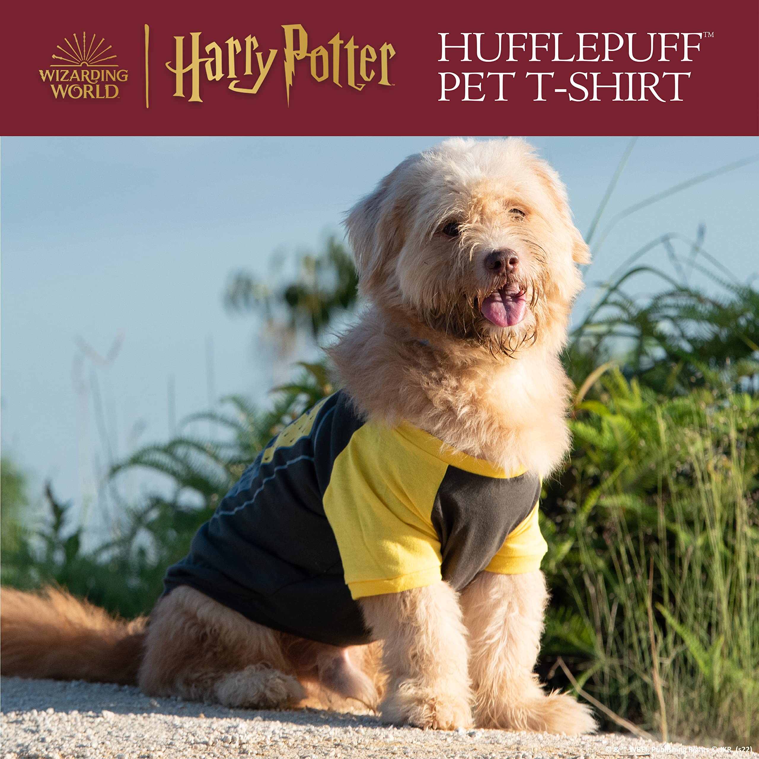 Harry Potter Hufflepuff Pet T-Shirt In Size Medium| Medium Dog T-Shirt, Harry Potter Dog Shirt | Harry Potter Dog Apparel & Accessories For Hogwarts Houses, Hufflepuff,Ff19288 Yellow