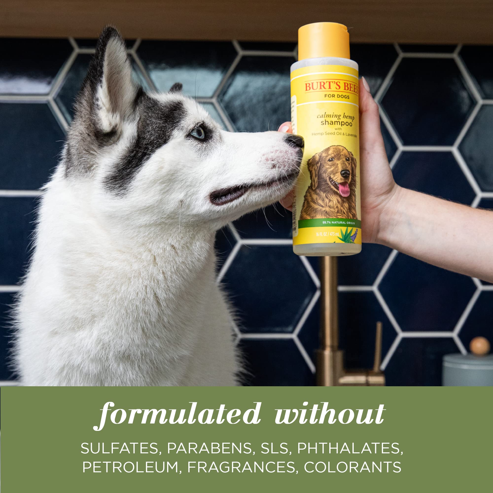Burt's Bees for Pets Calming Dog Shampoo With Hemp Seed Oil and Lavender - 95% Natural Origin Formula, Gentle and Best for Dogs,