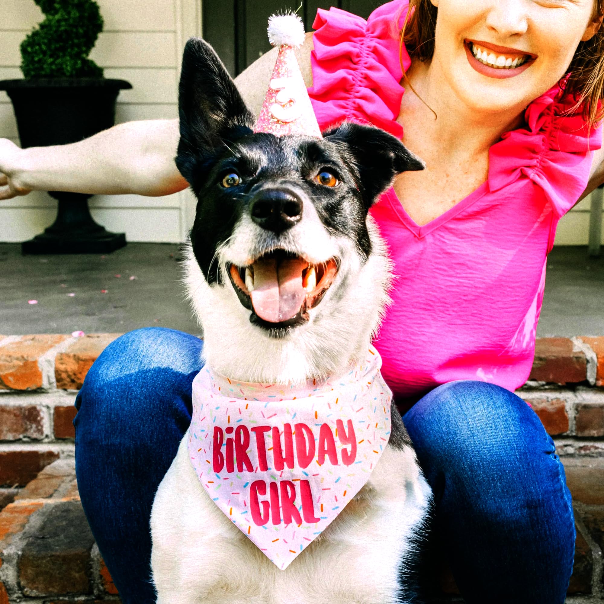 Birthday Girl Dog Bandanas 1 Pack, Pink Dog Scarfs For Girl, Hbd Pet Scarves For Birthday Party Decoration For Small Medium Larg