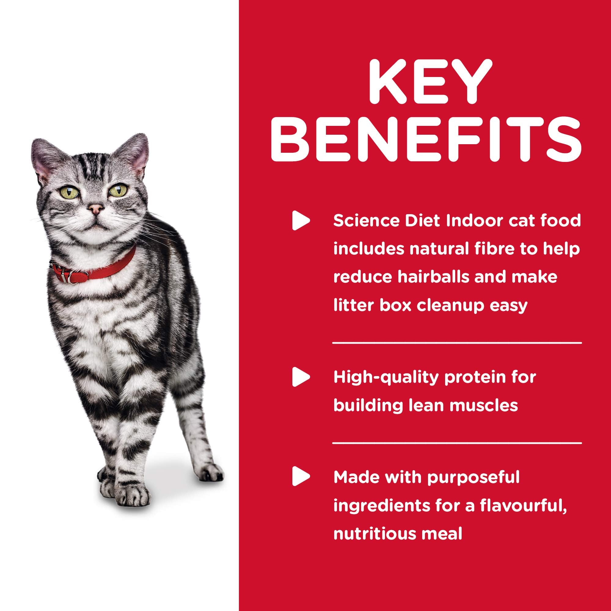 Hills Science Diet Indoor, Adult 1-6, Easy Litter Box Cleanup, Wet Cat Food, Chicken Minced, 5.5 oz Can, Case of 24