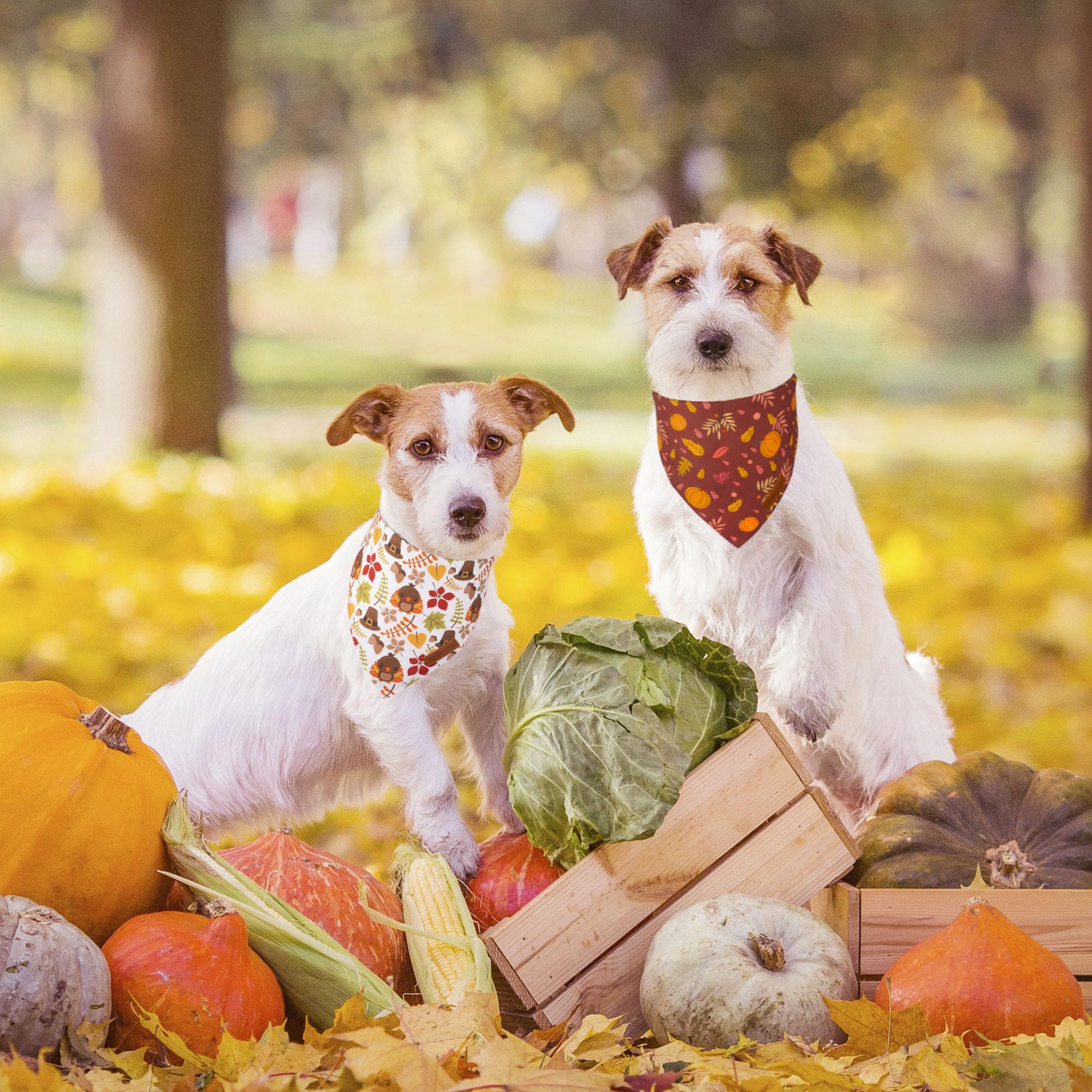 Adoggygo Thanksgiving Dog Bandana, Pumpkin Turkey Pet Scarf, Multi Size Offered, Fall Autumn Leaves Thanksgiving Bandanas For Sm