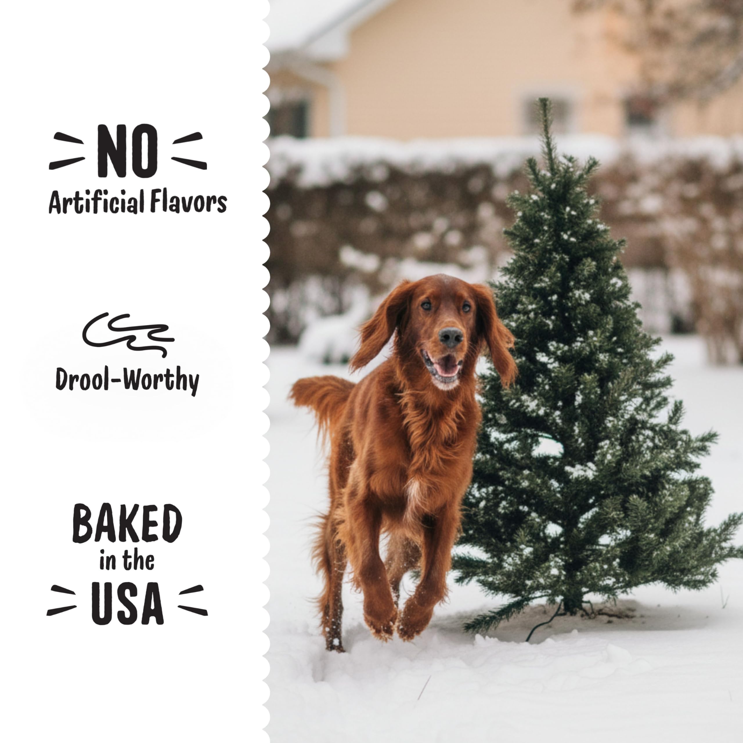 Three Dog Bakery Ho Ho Ho Hot Chowcolate - Festive Dog Treats, Carob & Marshmallow Wafers for Pups, Natural Dog Training Treats