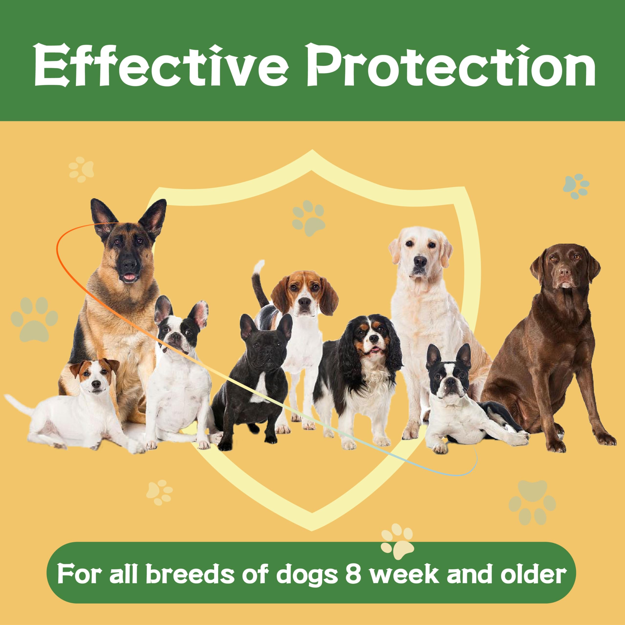 Advanllent Flea and Tick Prevention for Dogs, Flea and Tick Treatment for Medium Dog, Flea & Tick Control, 23-44 Pounds, 6 Doses