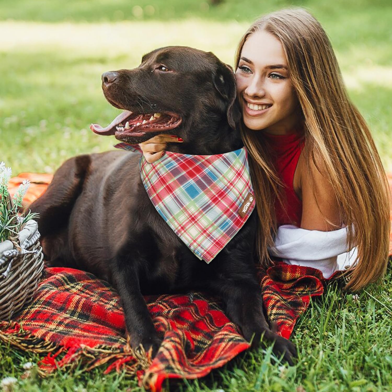 Tunkoo Dog Bandana Pretty Red Green Plaid Cotton Dog Scarf - Durable And Stylish Adjustable For Girl Small And Large Square Pupp