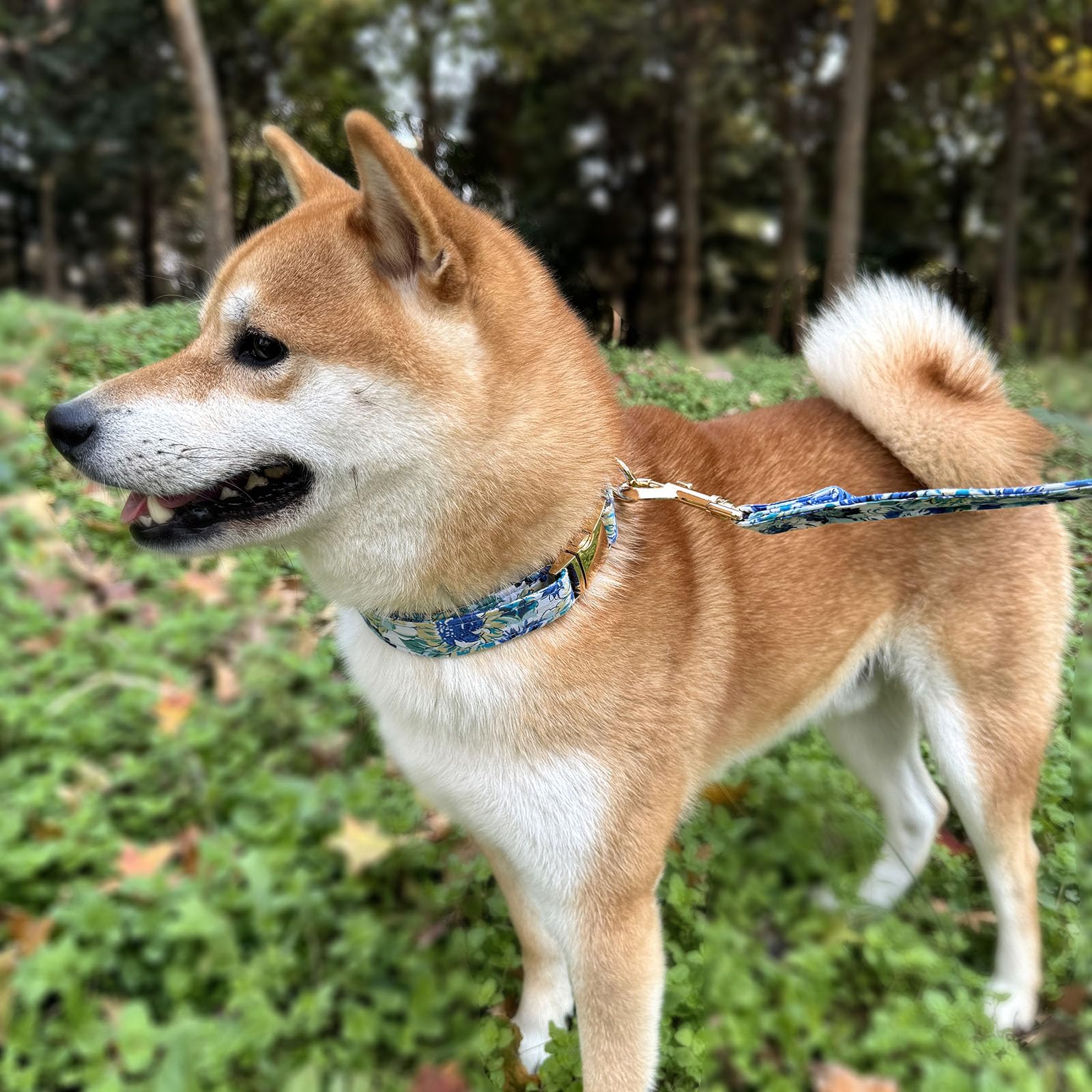 Dog Collar And Leash Set With Airtag Holder,Adjustable Dog Collars With Quick Release Metal Buckle, Flowers Patterns With Soft P