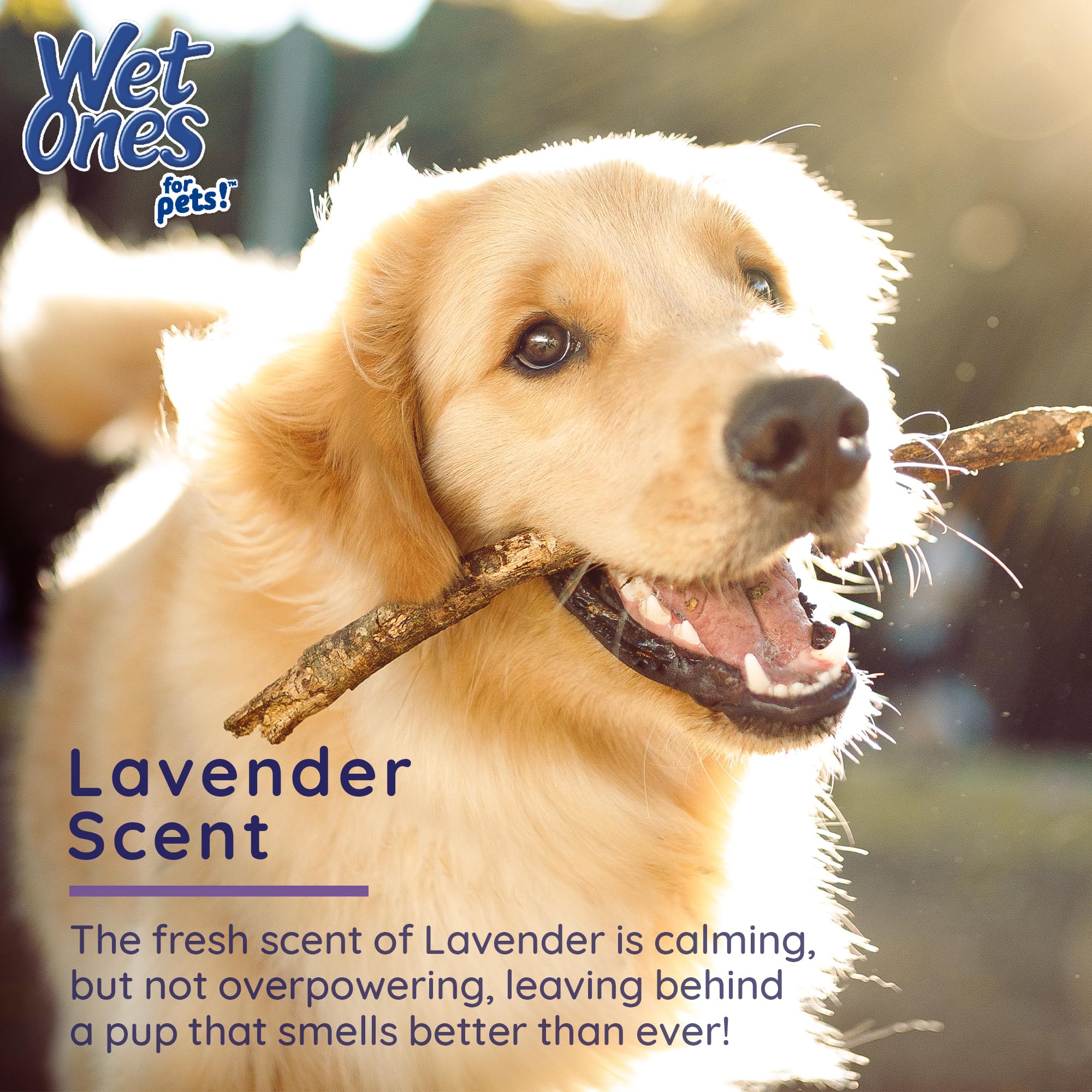 Wet Ones For Pets Antibacterial Calming Wipes With Chamomile, 30Ct, Calming Lavender Scent | Dog Cleaning Wipes, Durable Disposa