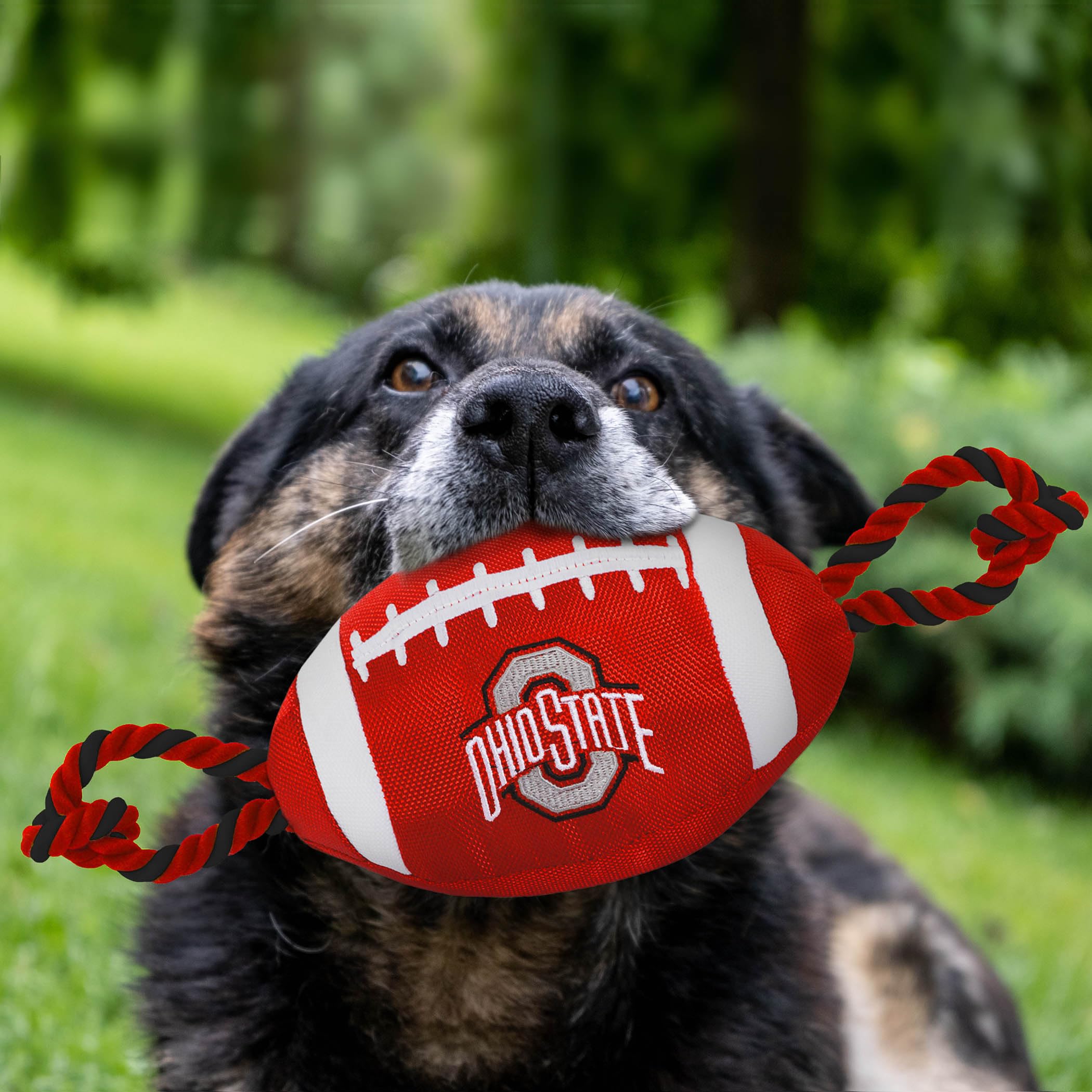 Pets First NCAA Ohio State Buckeyes Football Dog Toy, Tough Quality Nylon Materials, Strong Pull Ropes, Inner Squeaker, Collegia
