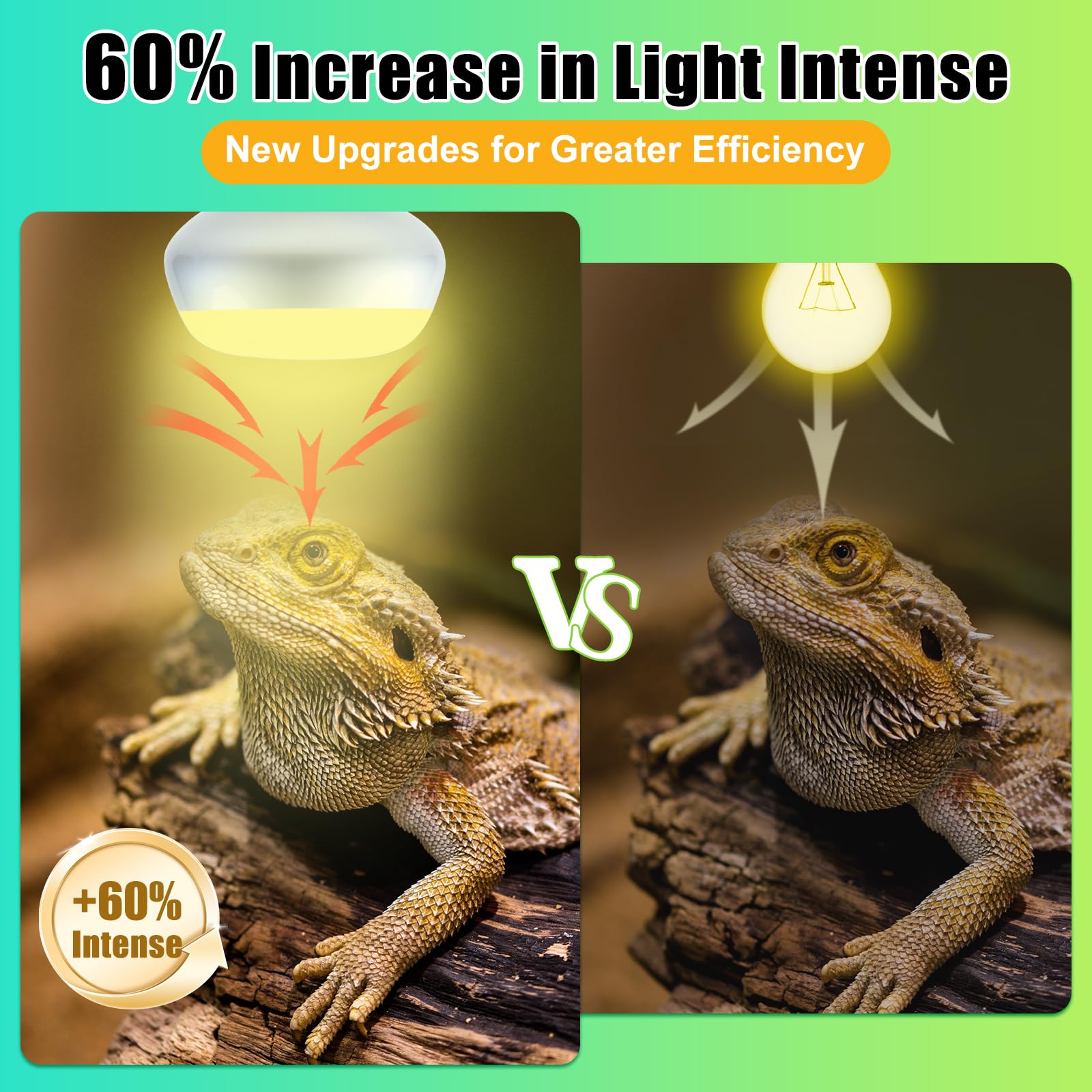REPTI HOME Intense Reptile Heat Lamp Bulbs -2 Pack 50W,Intense Reptiles & Amphibians UVA Basking Spot Lamp Bulb,Simulate Natural