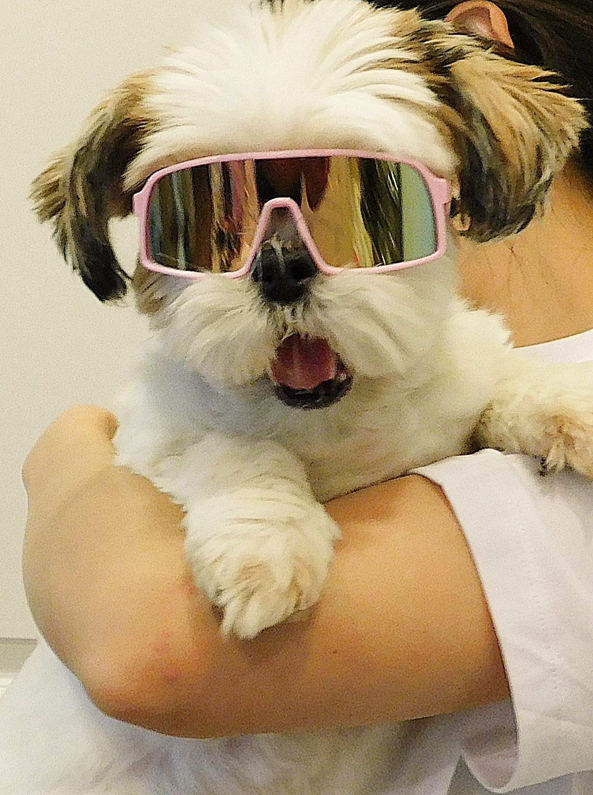 G029 Dog Cat Pet Sports Turbo Small Sunglasses For Toy Breeds 8-18Lbs (Turbo Pink-Pink Mirror)