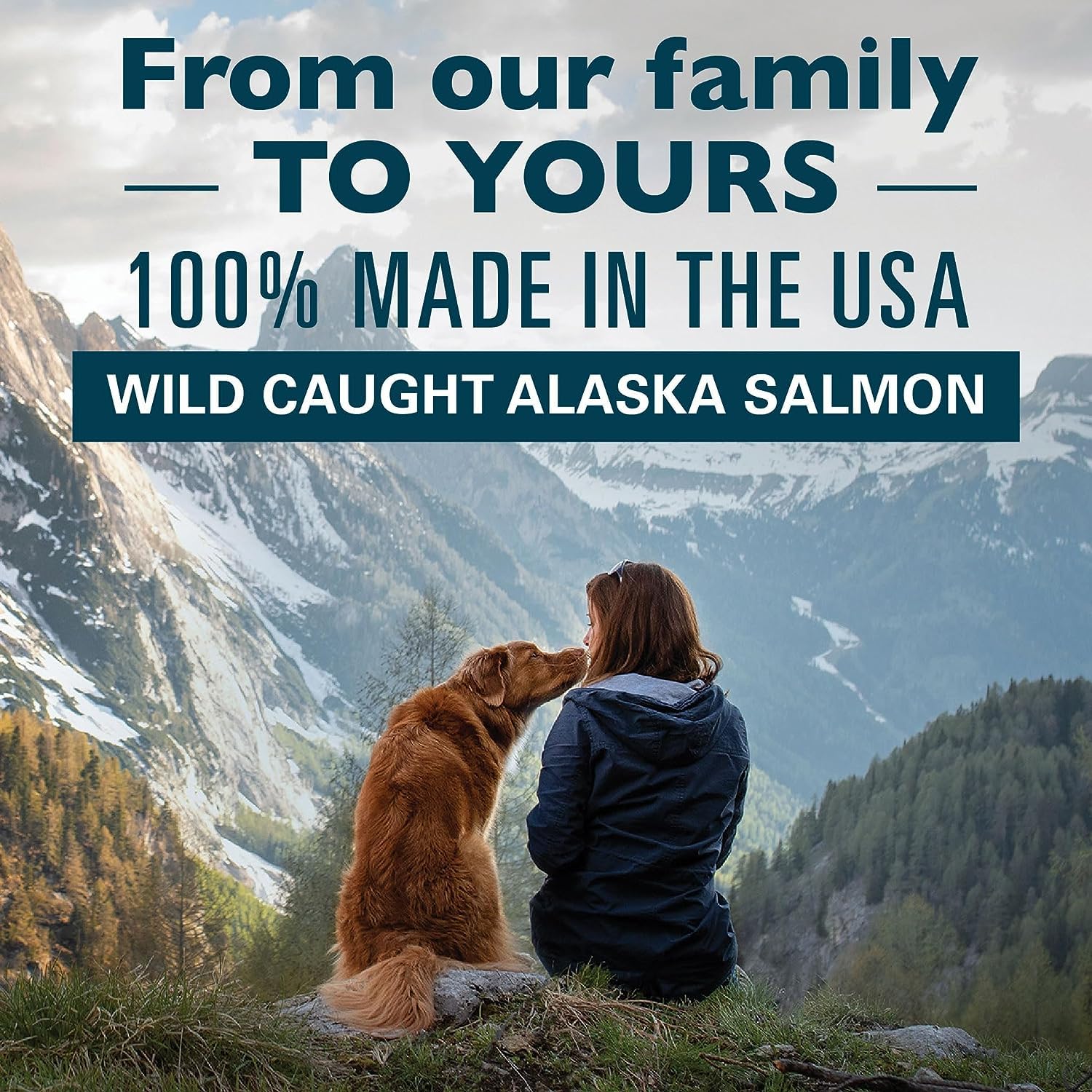 Alaska Naturals - Wild Alaska Salmon Oil Formula Dog Food Topper - EPA and DHA Omega-3 - Supplement for Healthy Skin, Shiny Coat