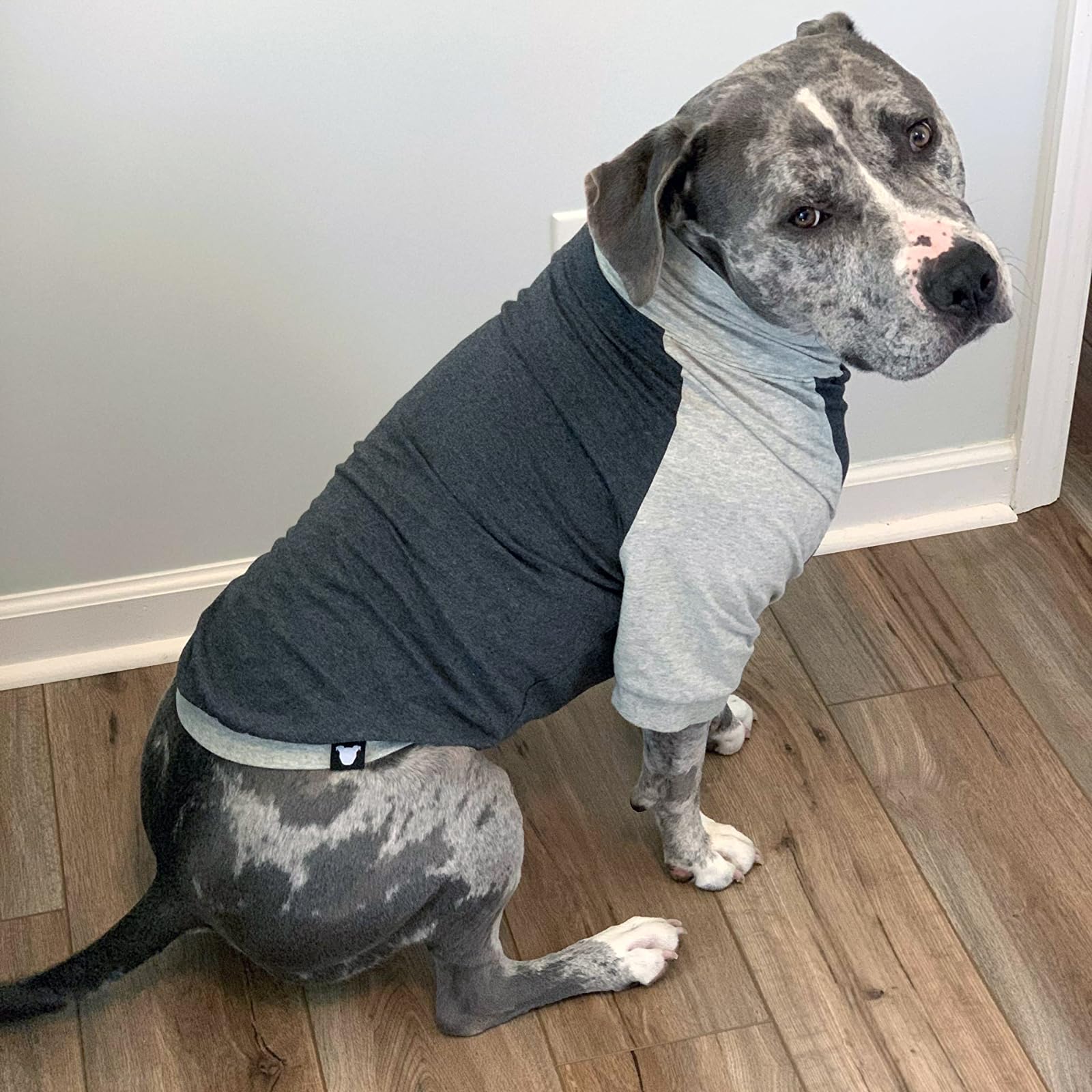 Tooth & Honey Large Dog Pullover Shirt – Breathable Cotton & Spandex Dog Shirt With Full Underbelly Coverage – Dark & Light Grey Large Dog Shirt For Allergy & Summer Protection (Large)