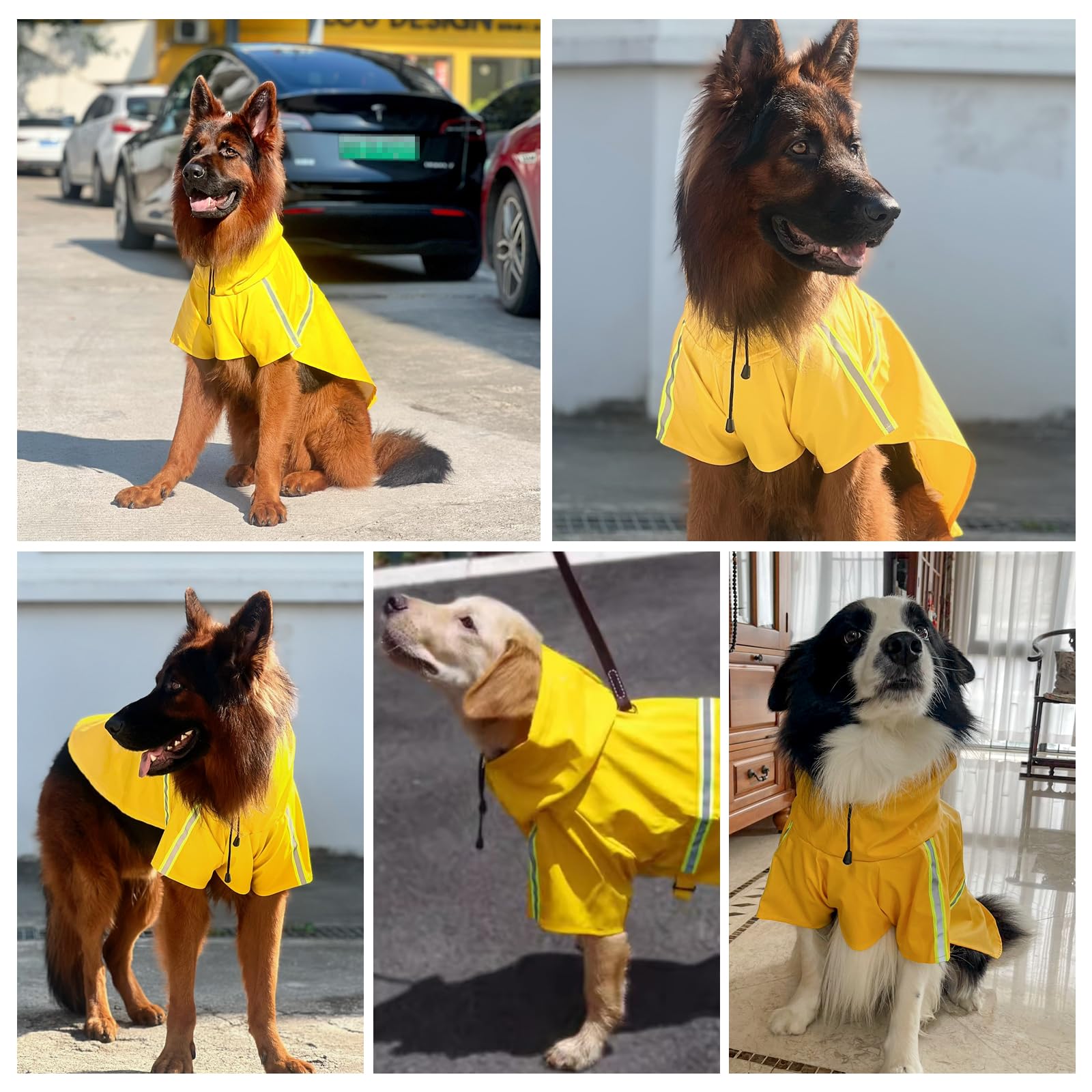 Exploreu Dog Raincoat, Adjustable Water Proof Pet Clothes With Clear Hooded, Waterproof Lightweight Pet Rain Jacket Phocho Hoodi