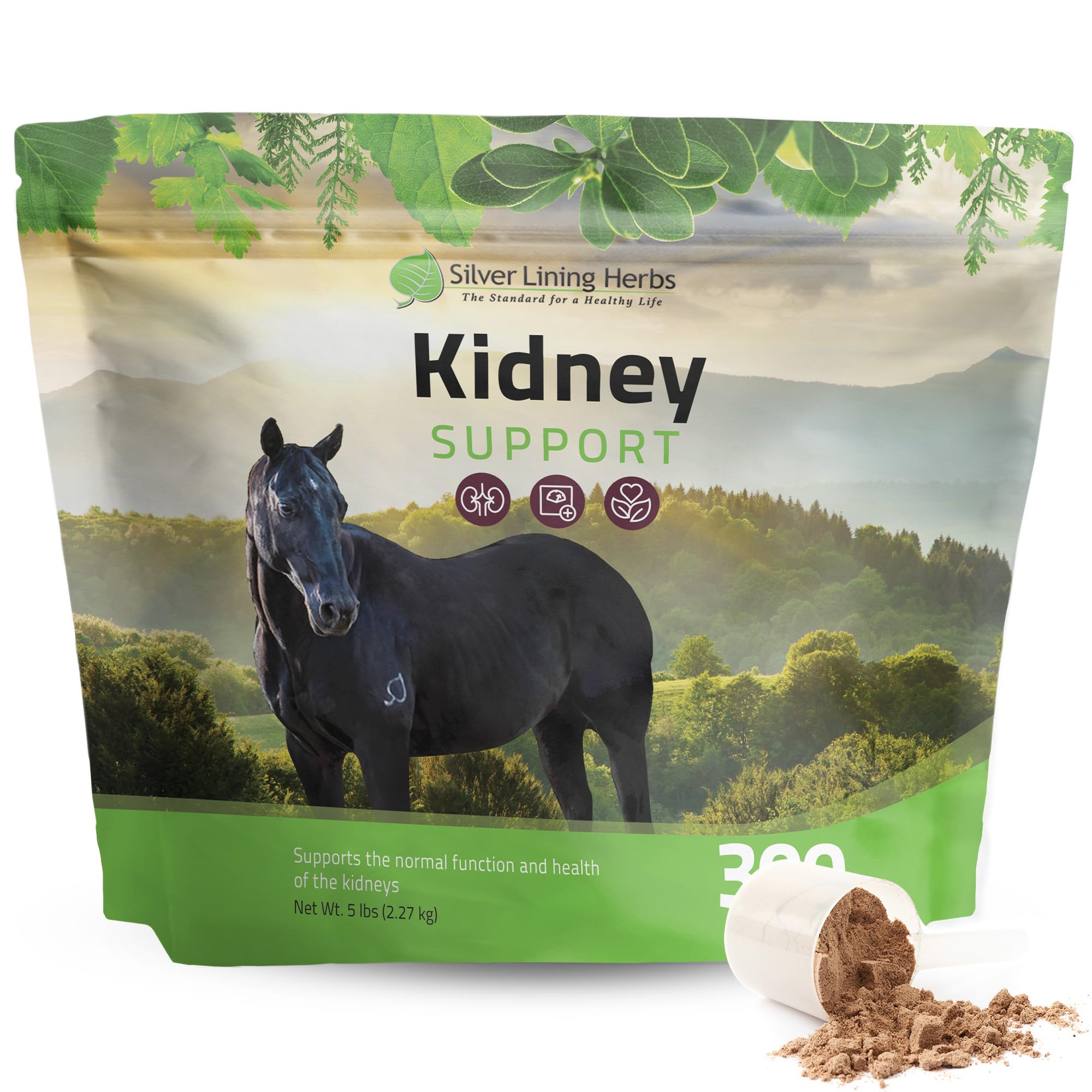 Silver Lining Herbs Kidney Support Supplement for Horses - Horse Supplements for Kidney Health and Bladder Support - Complete wi