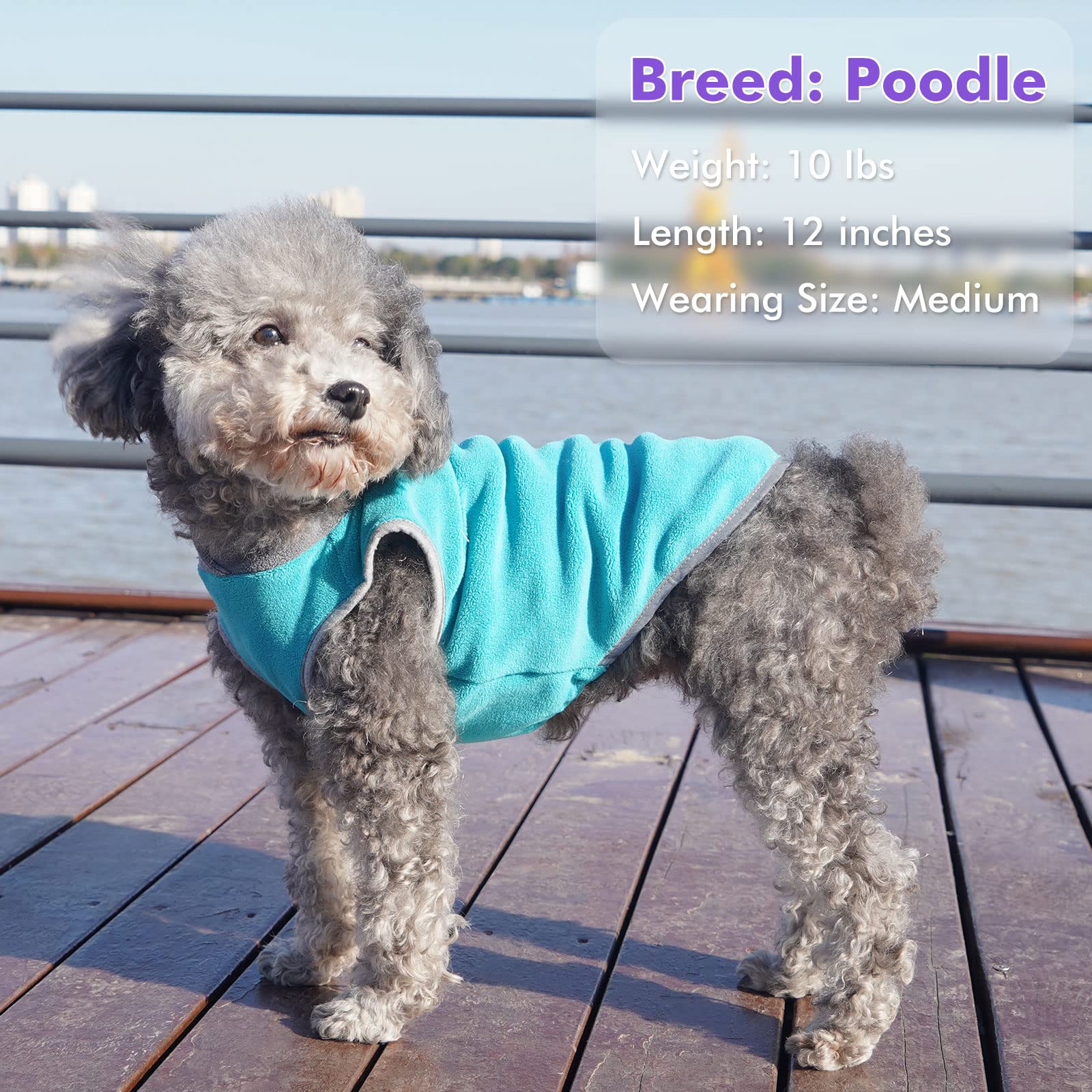 Cyeollo 2 Pack Dog Fleece Sweater With Reflective Stripe Pullover Stretchy Stretchable Dog Jacket Pet Sweatshirt Boy Dog Clothes For Small Dogs Puppy Size S Turquoise & Grey