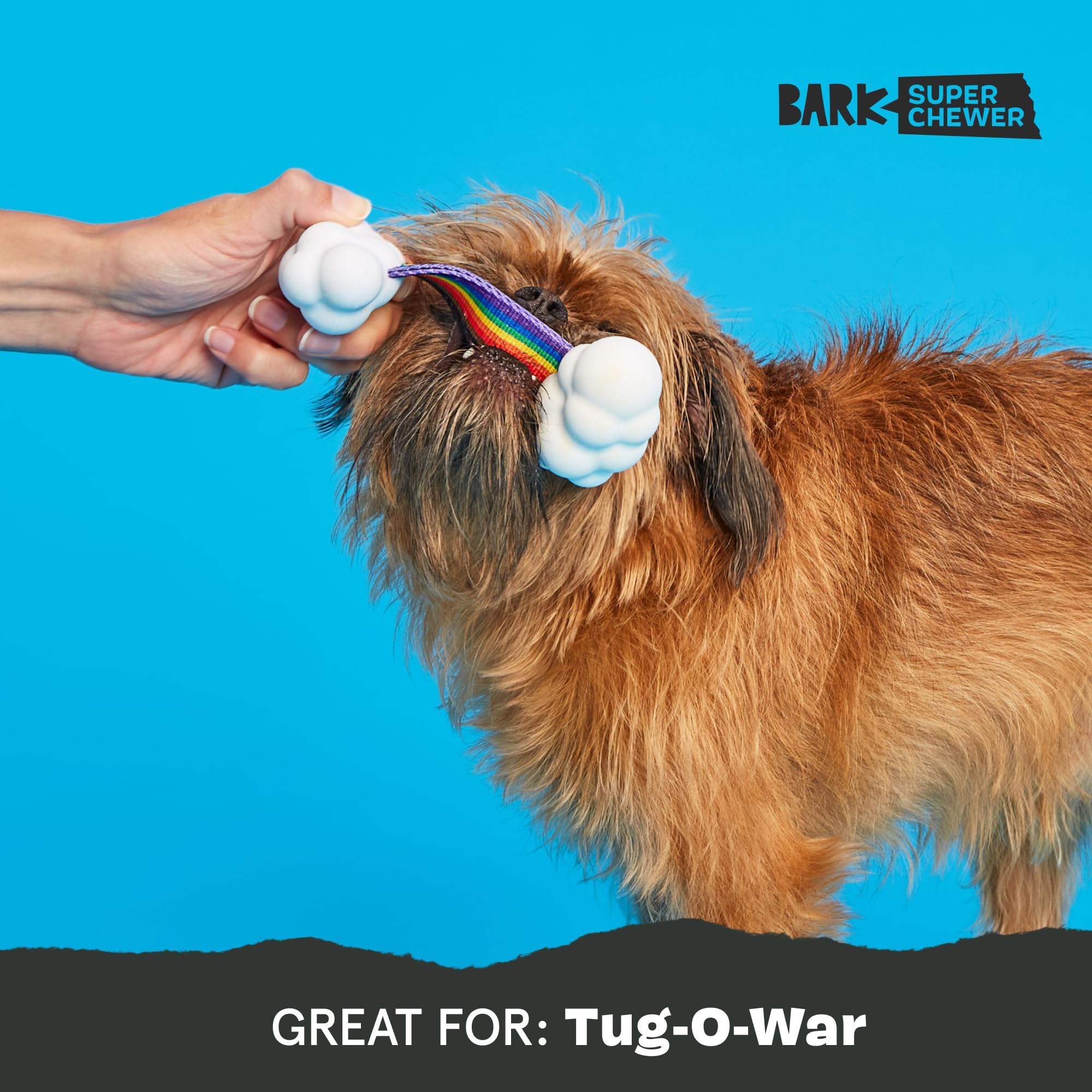 Barkbox Dog Toys - Toy G Biv Rainbow Super Chewer Tug Toy For Aggressive Chewers With Double Reinforced Strap And Tough Rubber C