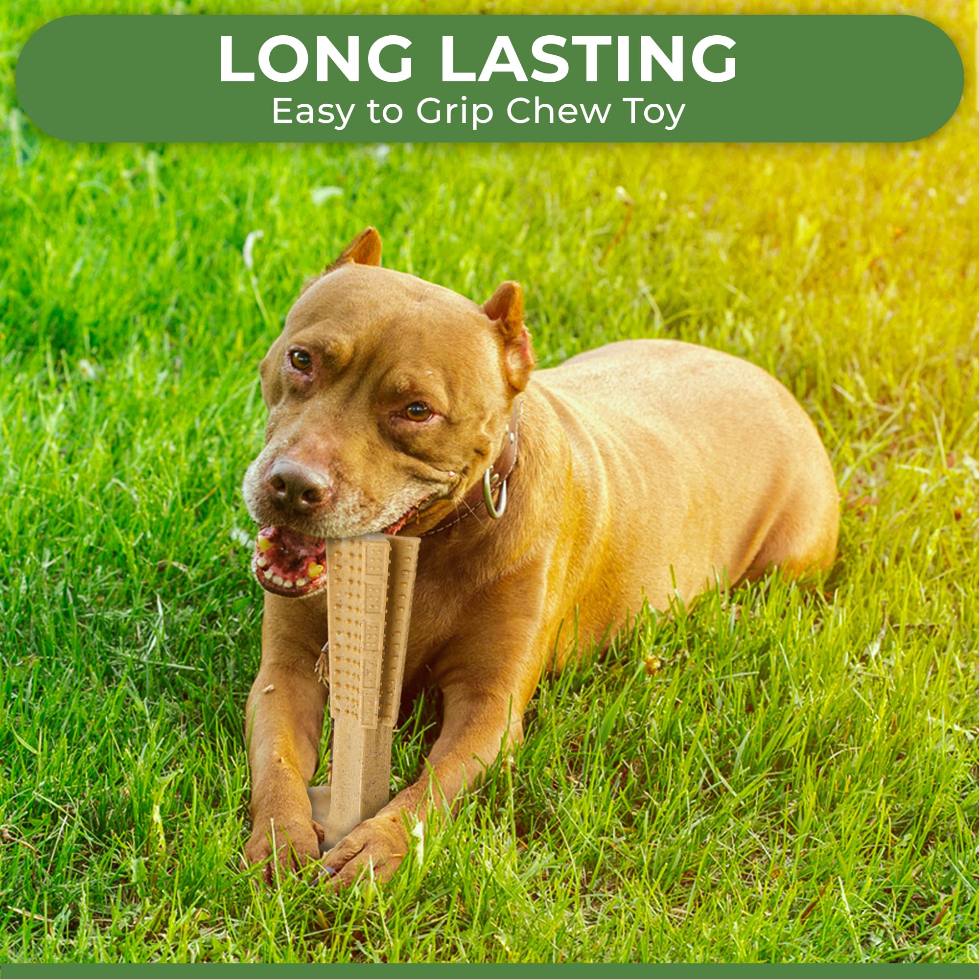 Ethical Pet 2 Pack Of Bambones Plus Dog Chew Toys, Large 7 Inch, Chicken Flavor